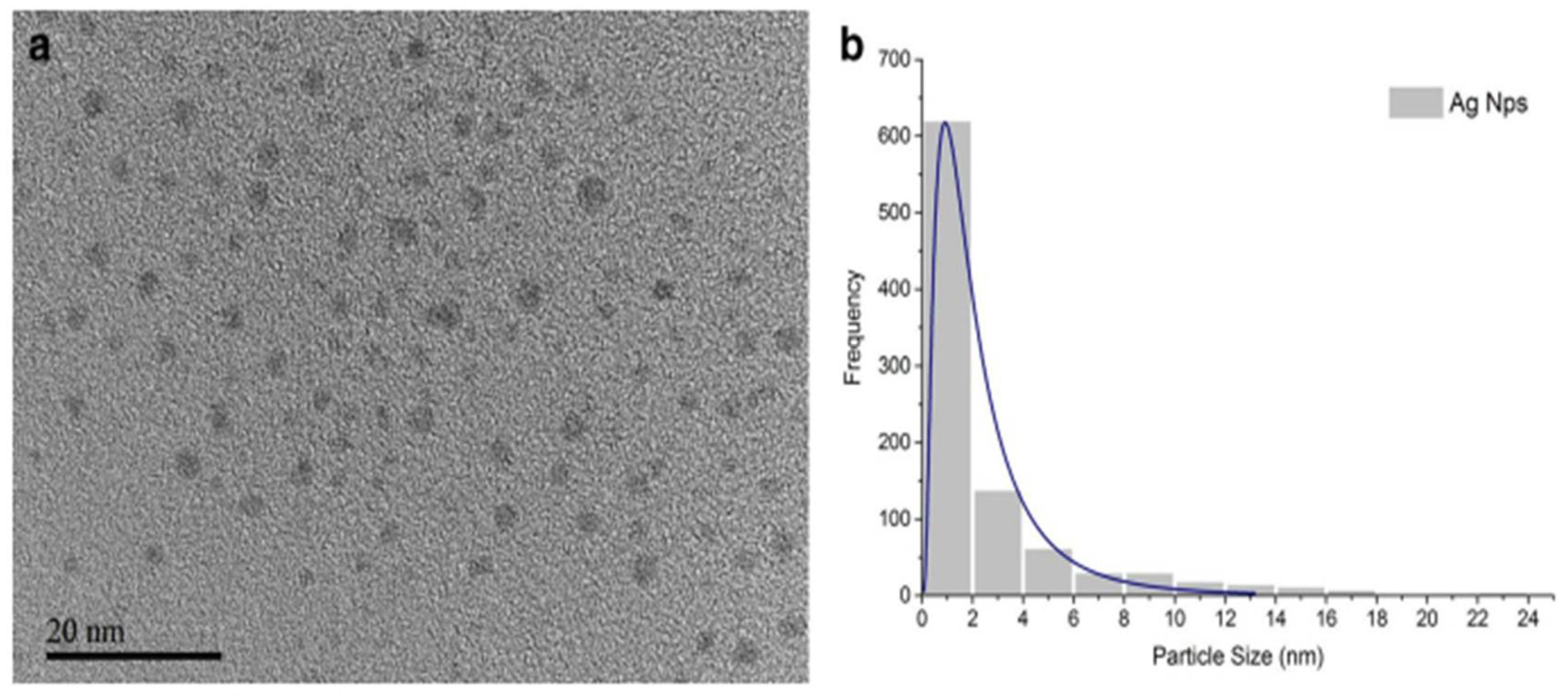 Inorganics 13 00341 g008