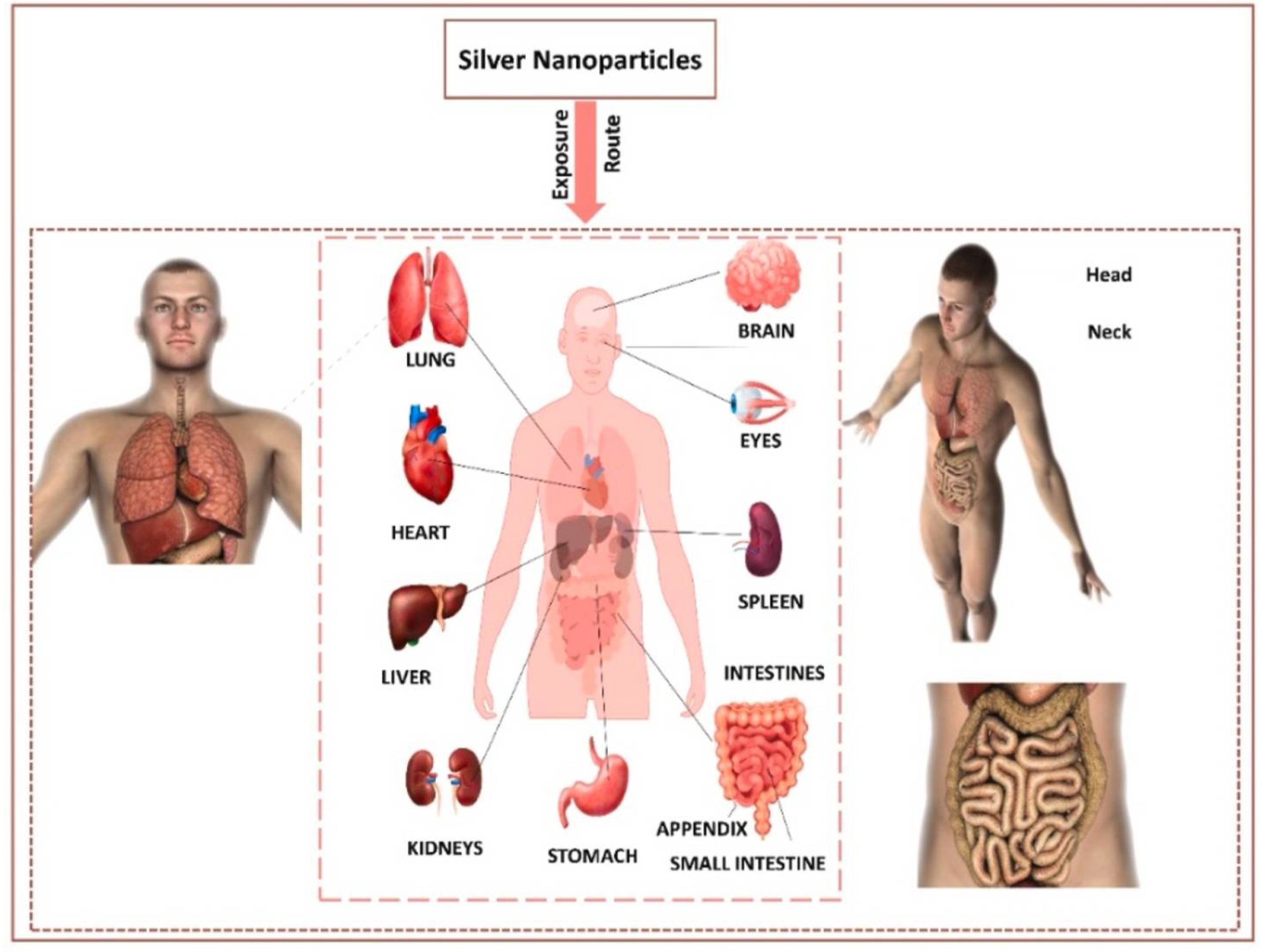 Inorganics 13 00341 g017