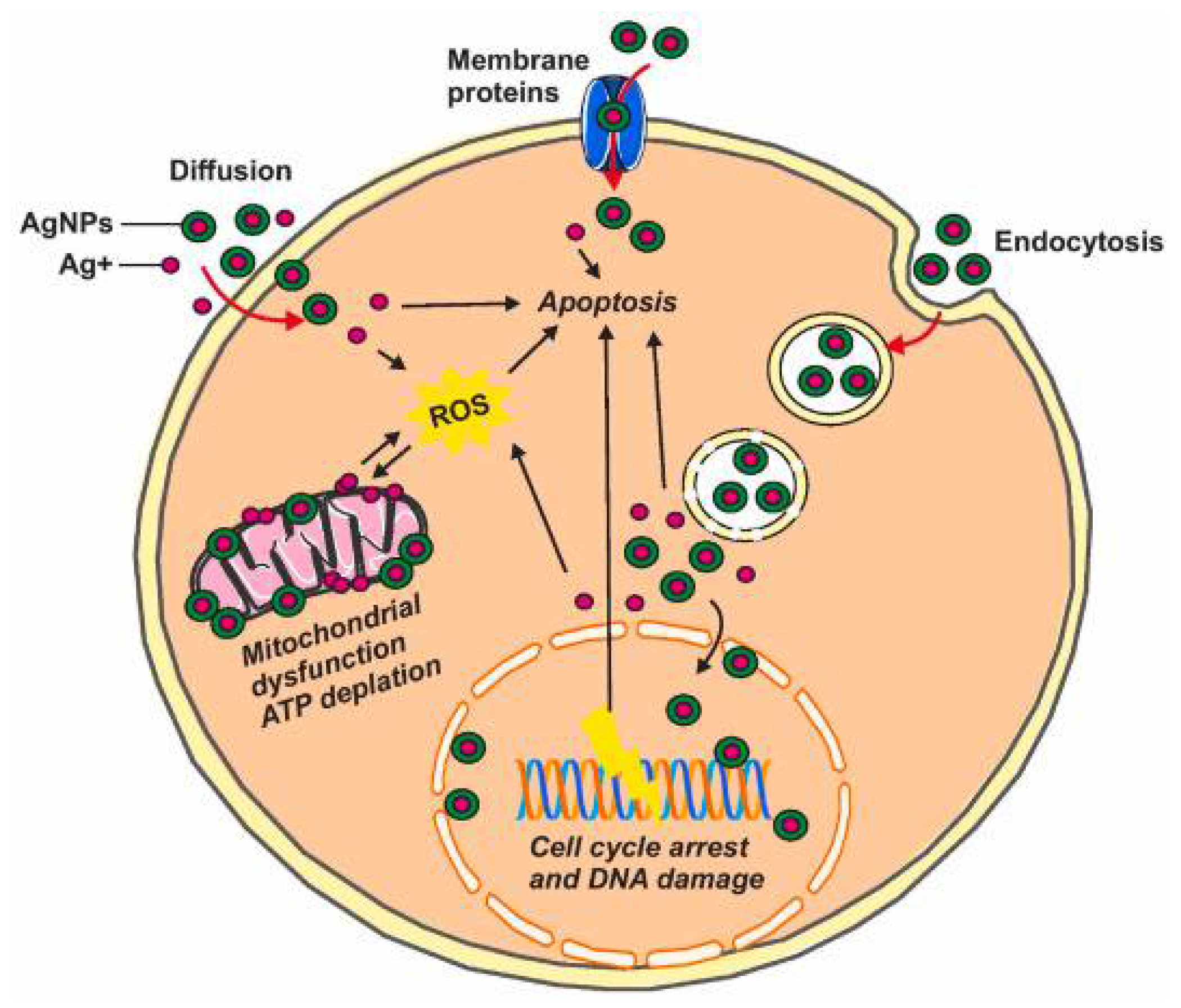 Inorganics 13 00341 g020