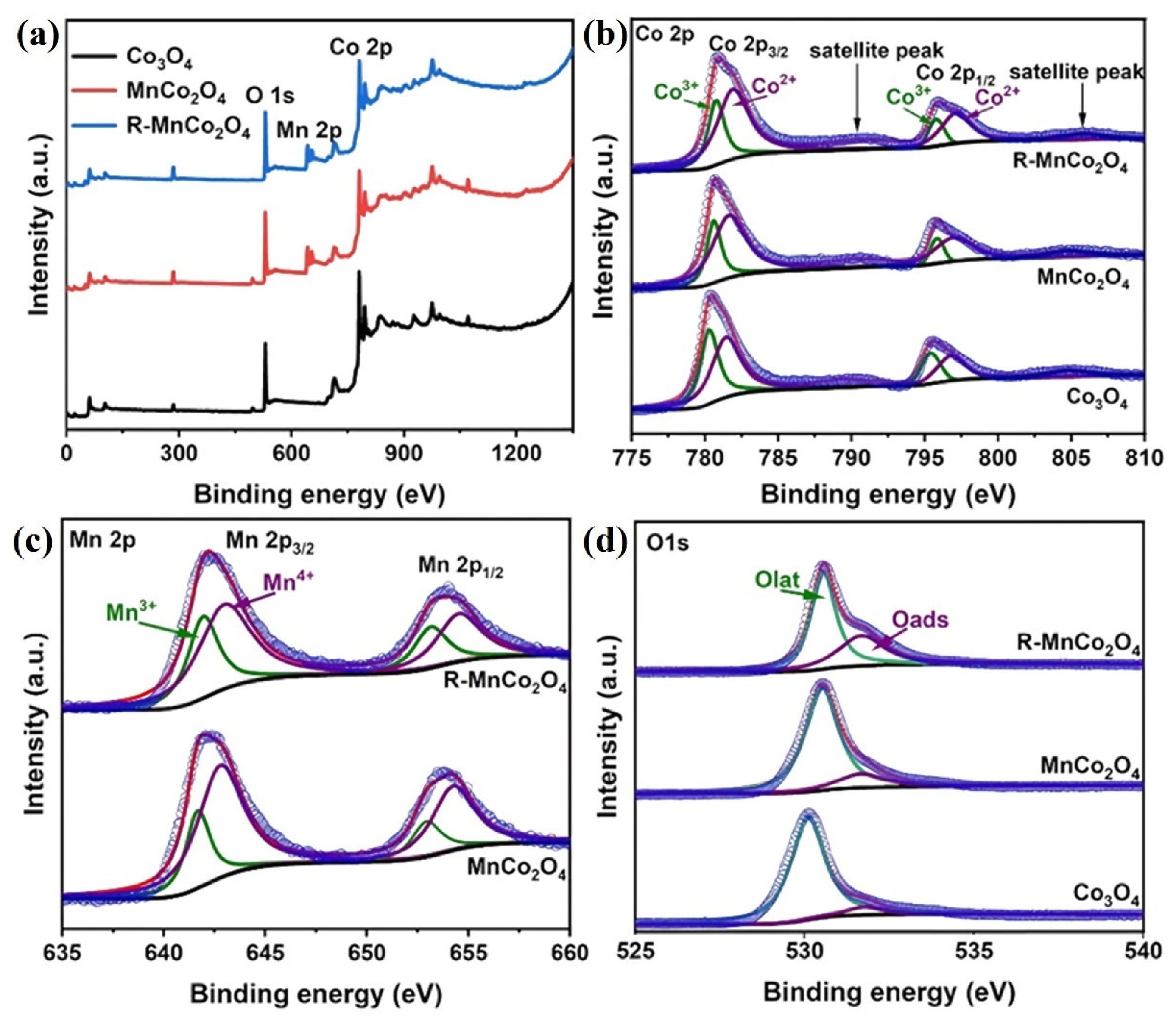 Inorganics 13 00345 g023