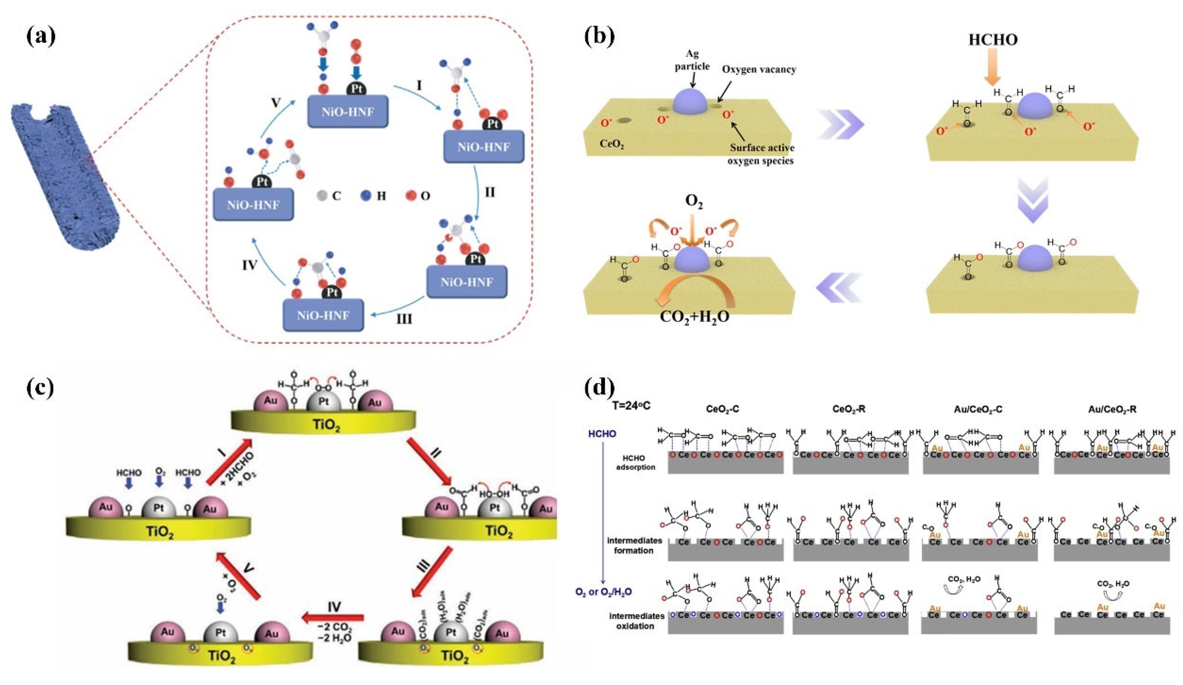 Inorganics 13 00345 g041
