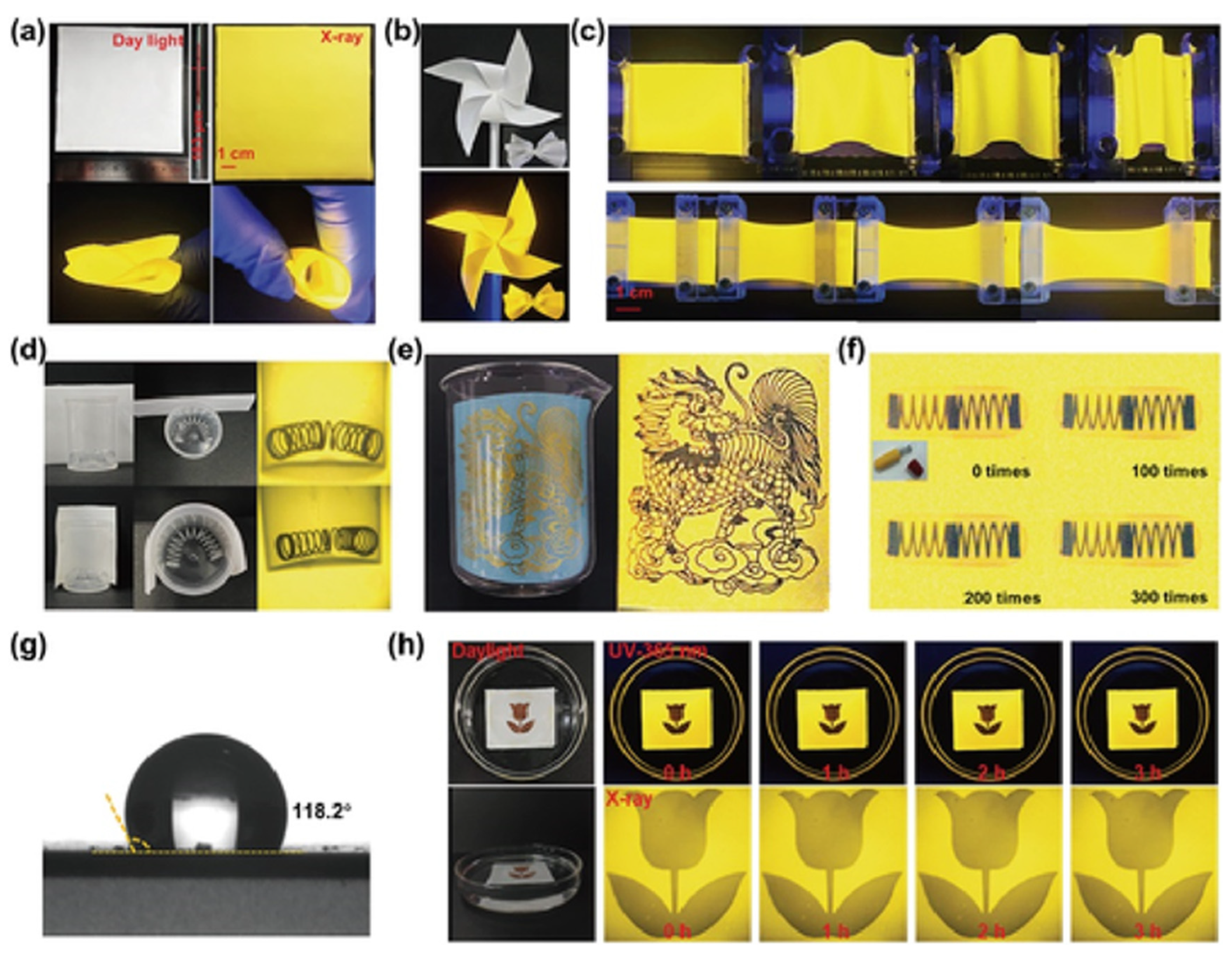Inorganics 13 00347 g009