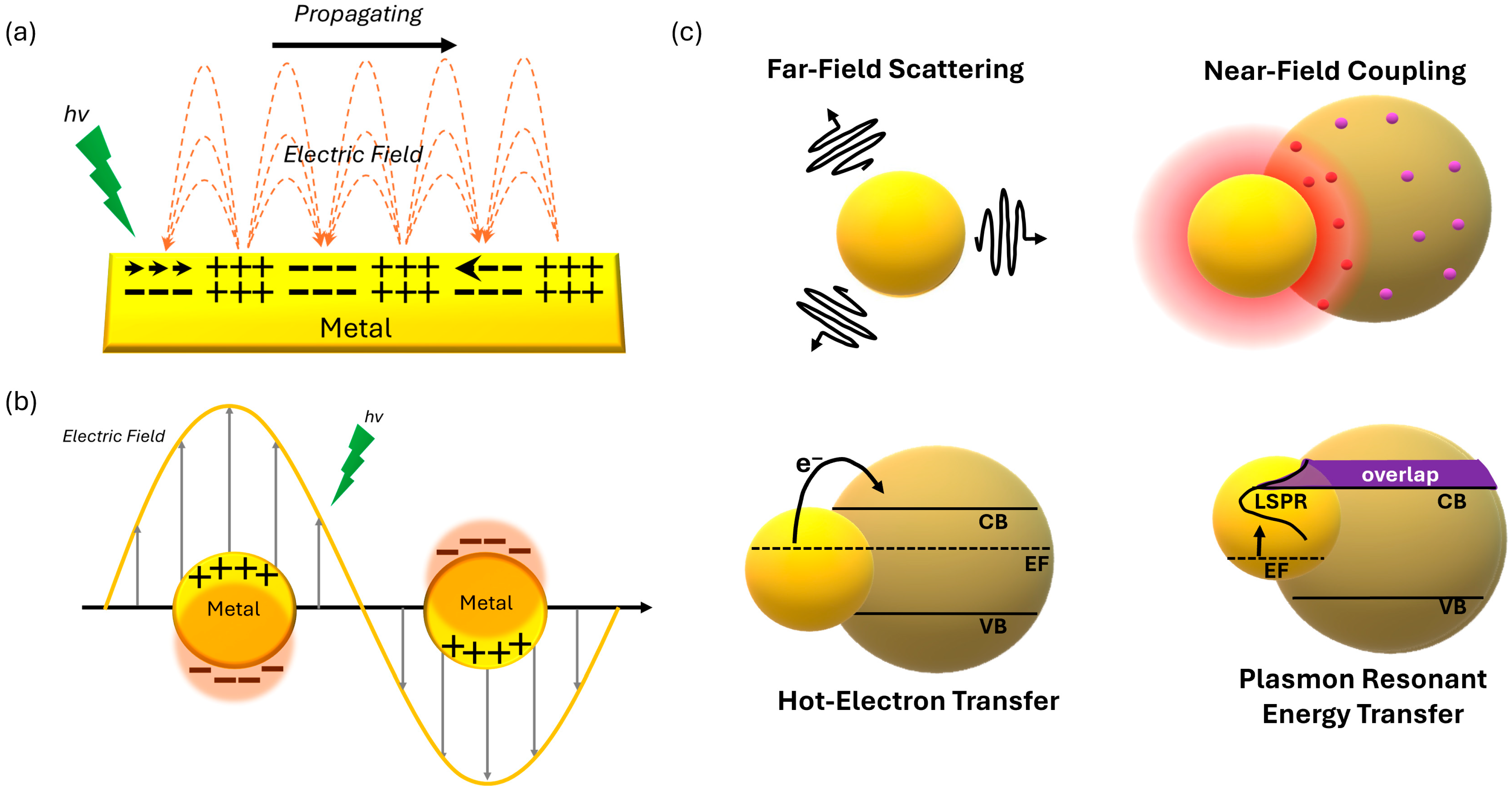Inorganics 13 00351 g002