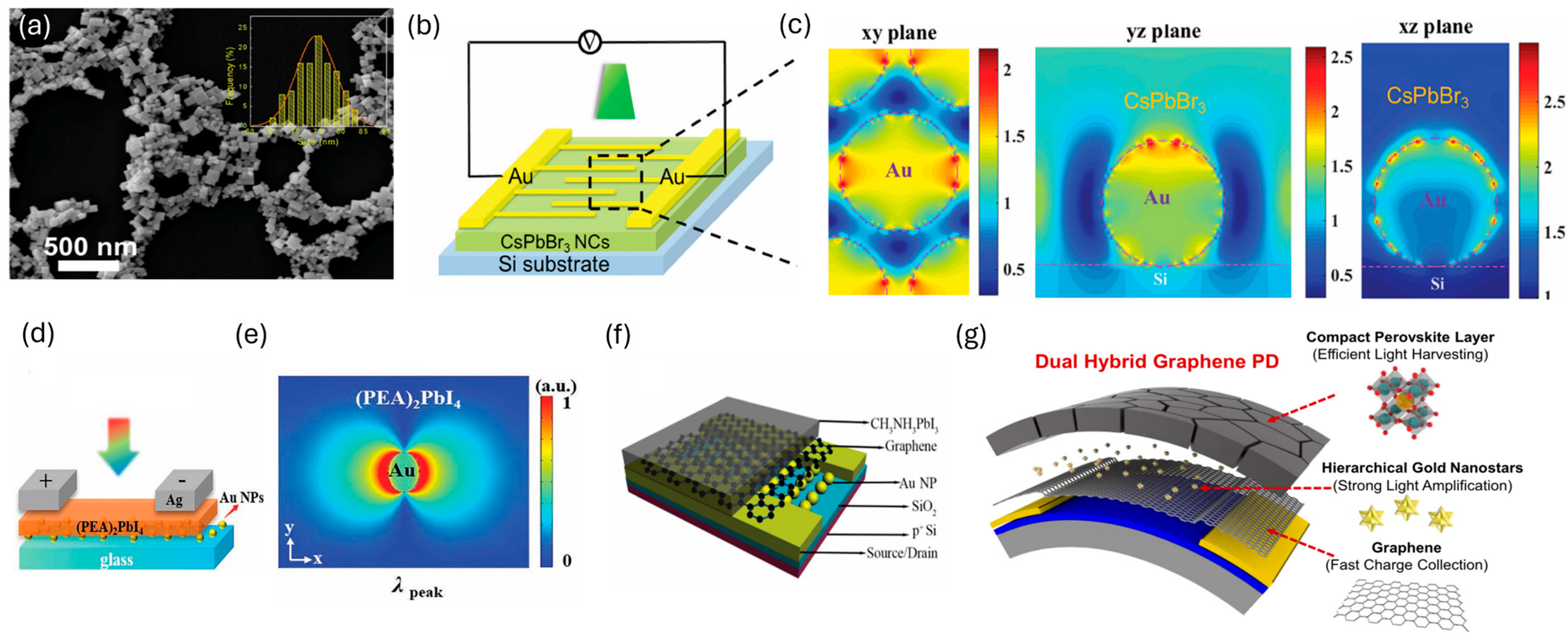 Inorganics 13 00351 g003