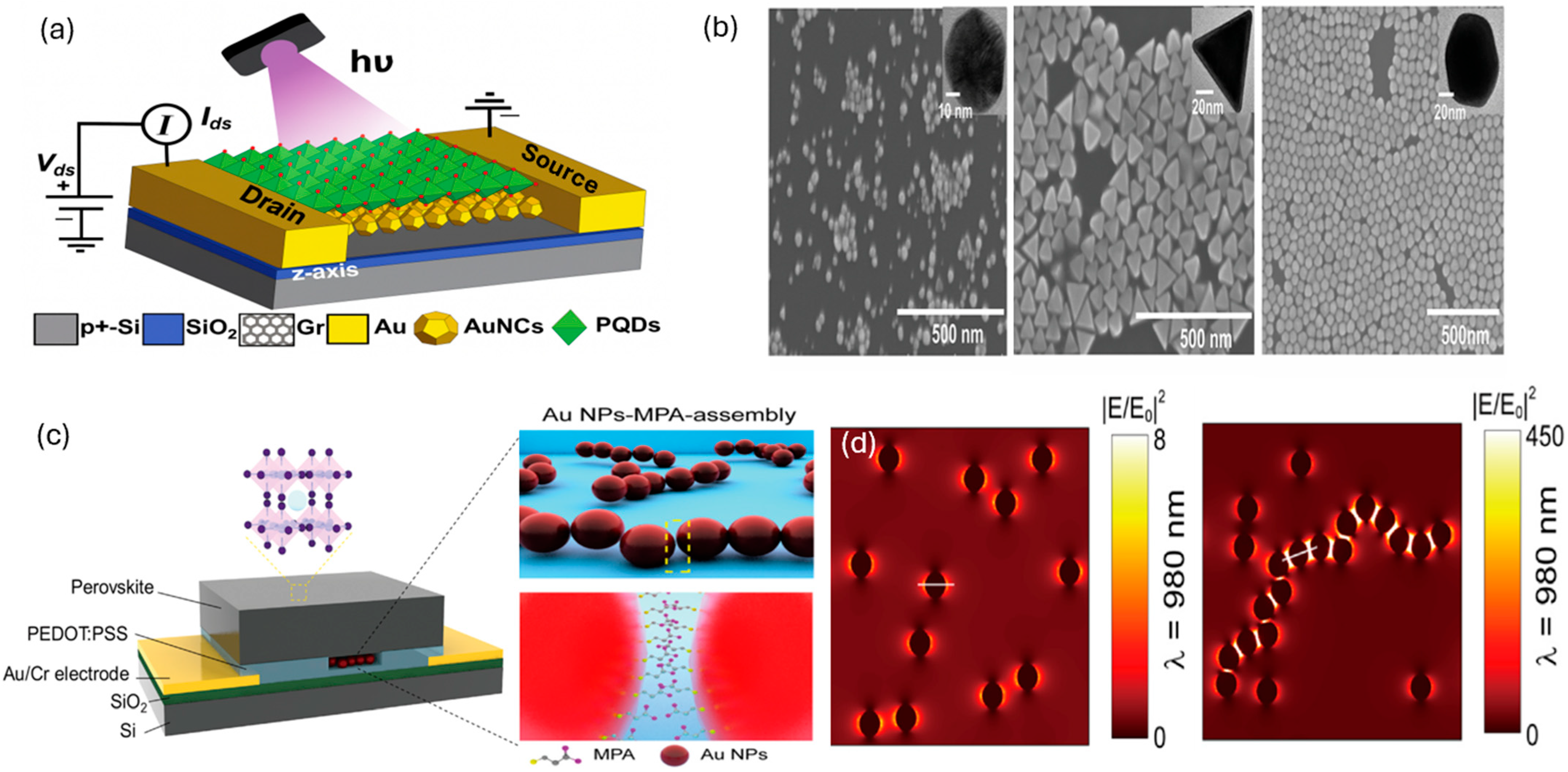 Inorganics 13 00351 g004