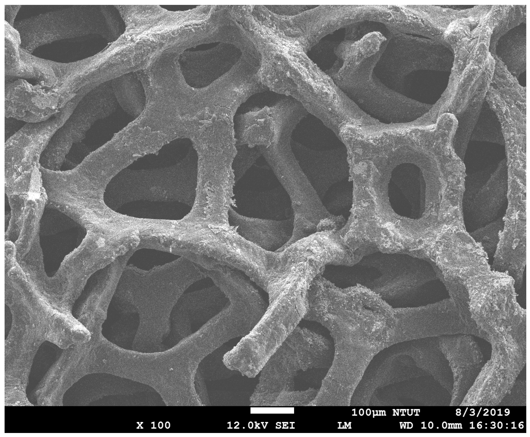 Inorganics 13 00355 g0a1