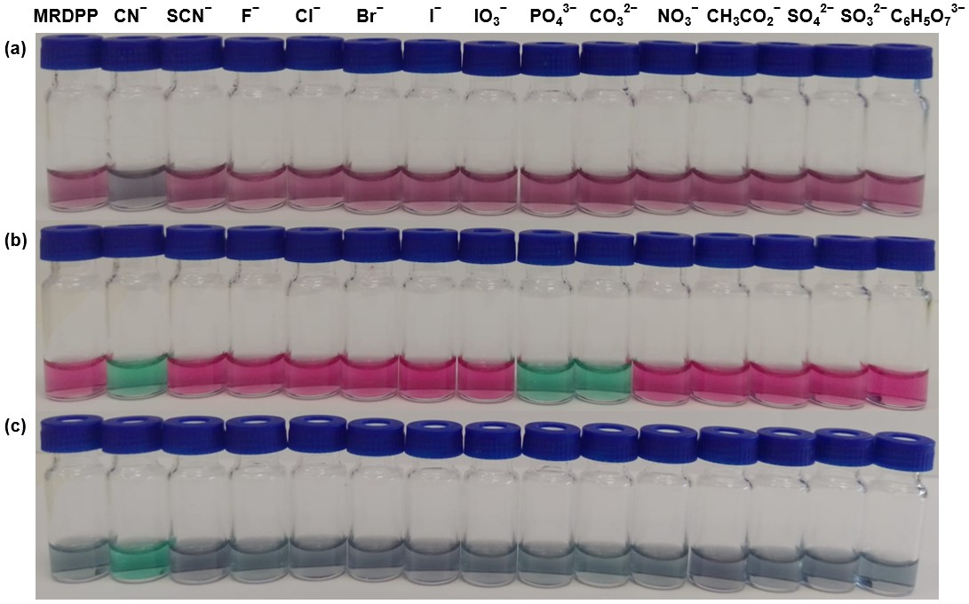 Inorganics 13 00357 g003