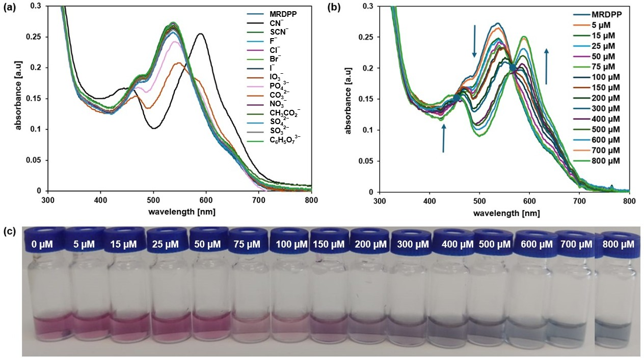 Inorganics 13 00357 g004