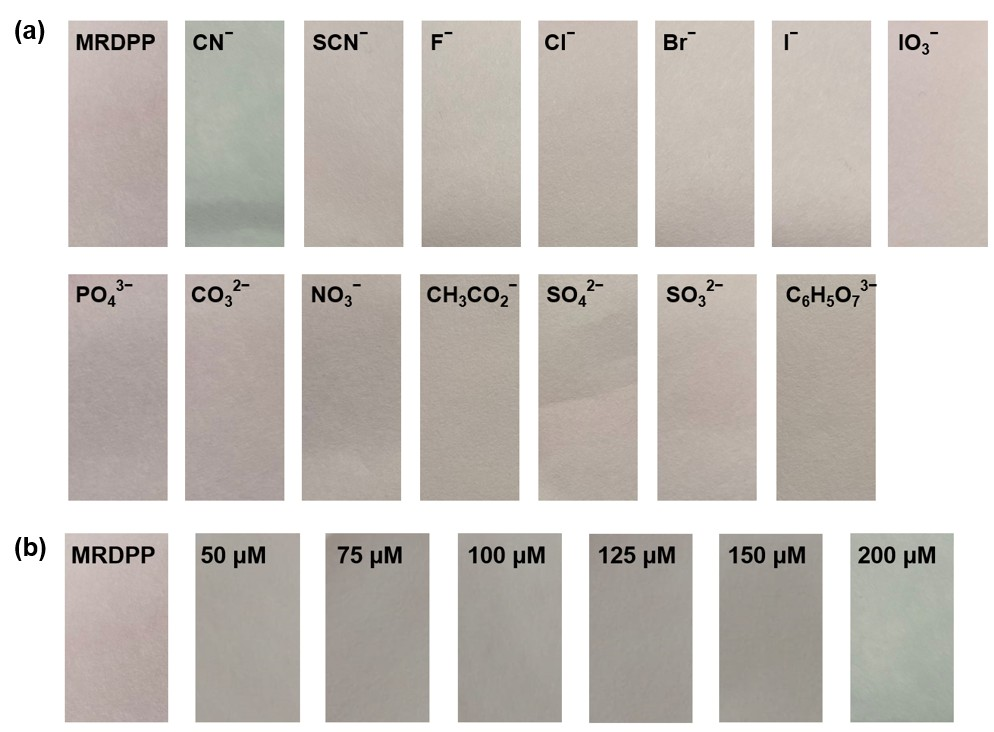 Inorganics 13 00357 g010