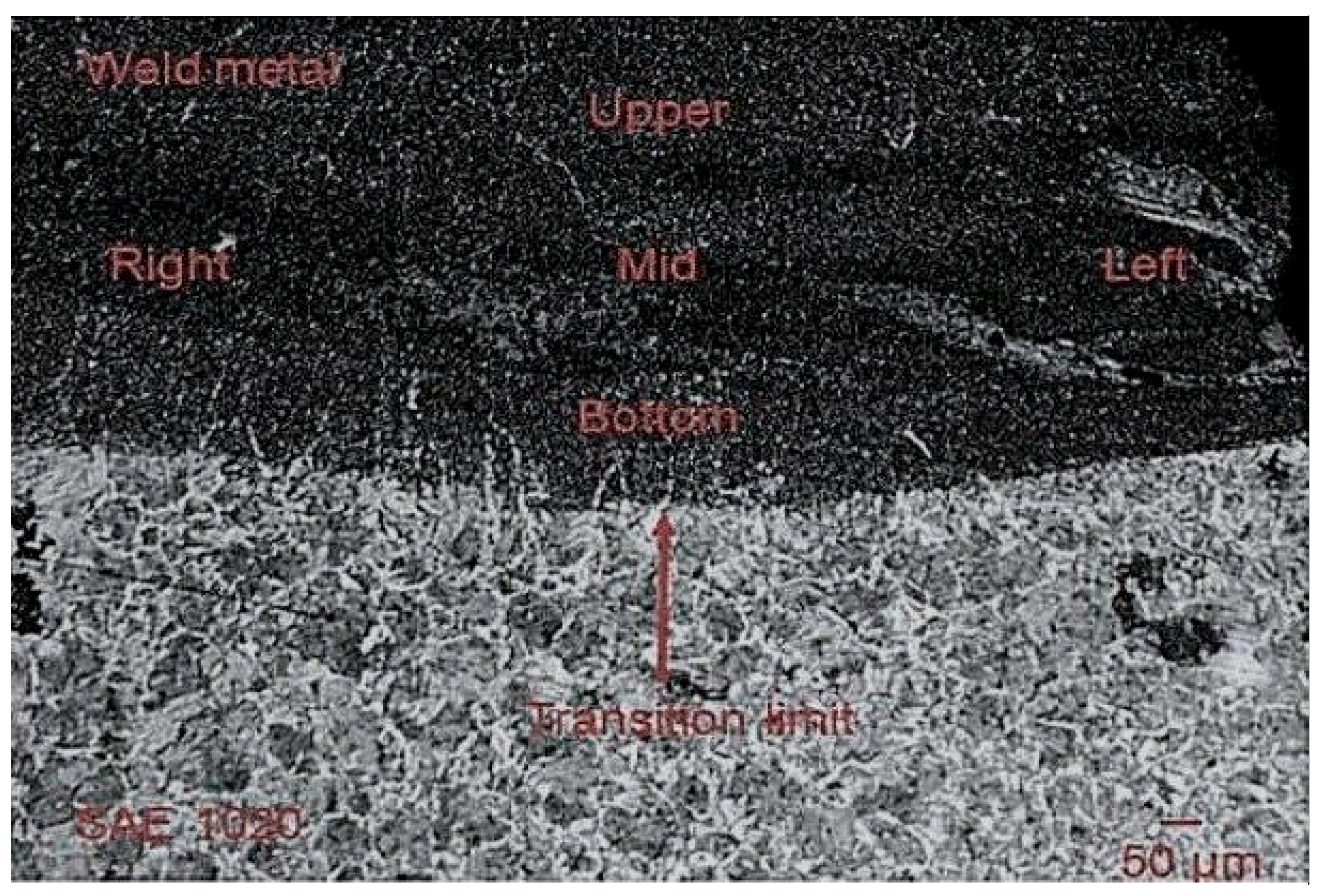 Inorganics 13 00361 g003