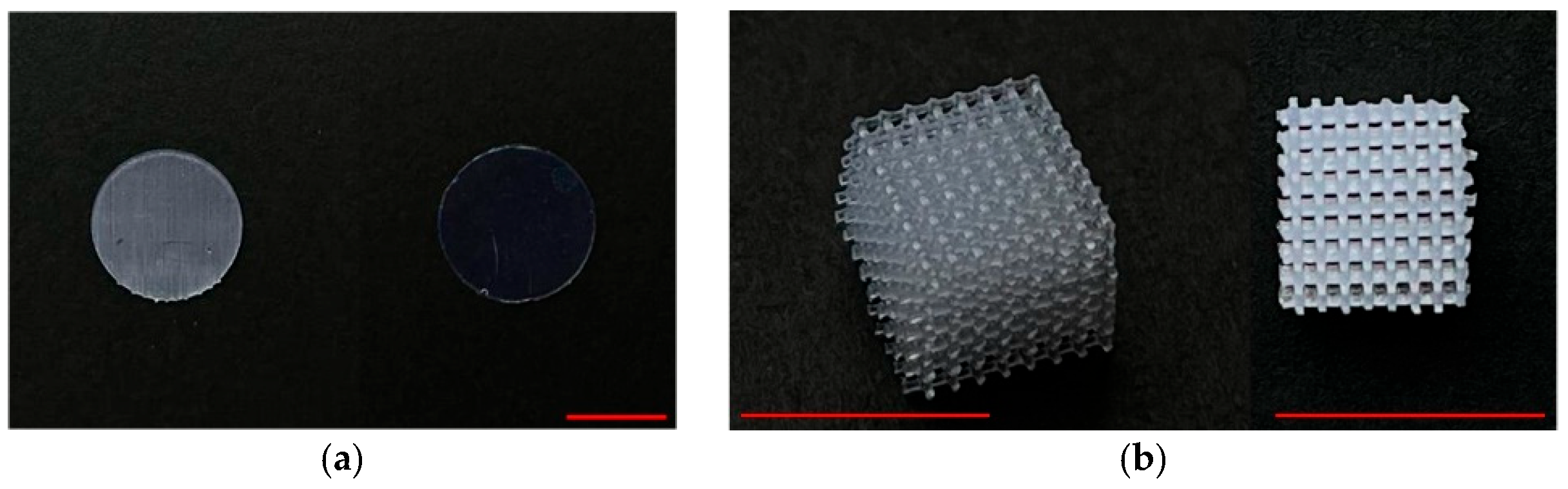 Inorganics 13 00365 g002