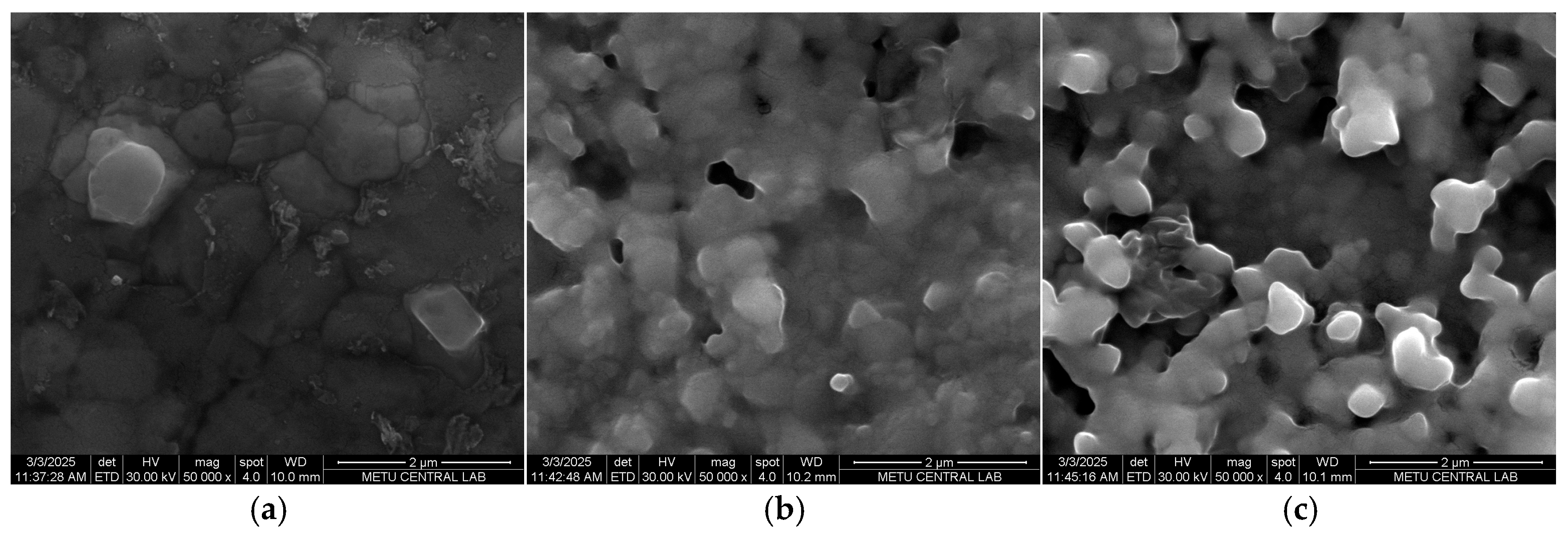 Inorganics 13 00366 g003