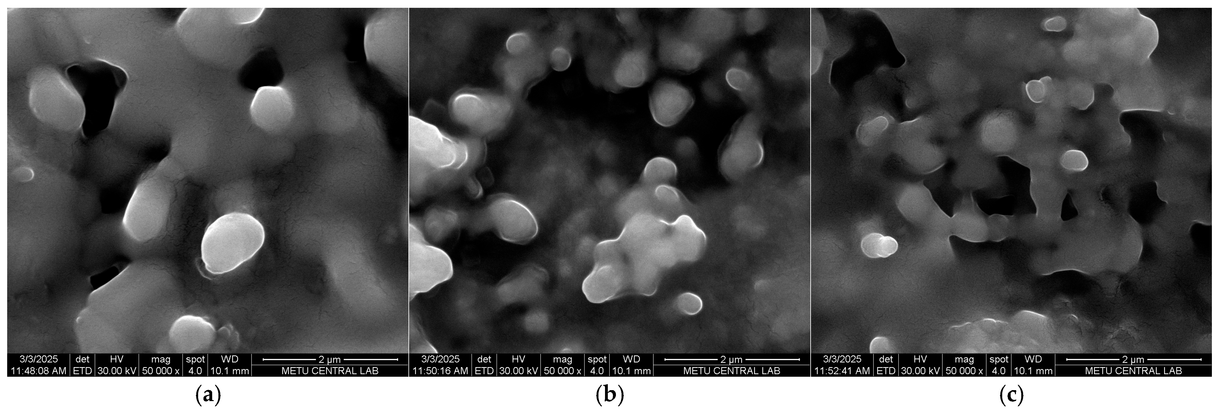 Inorganics 13 00366 g004