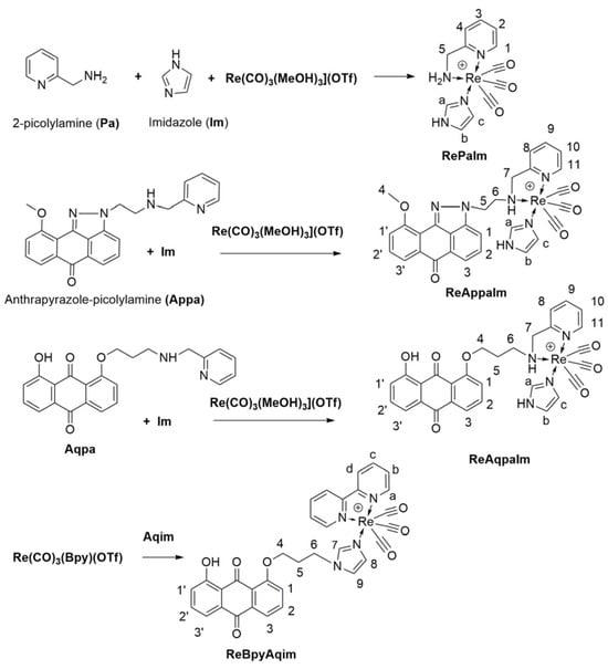 Inorganics 13 00368 sch002
