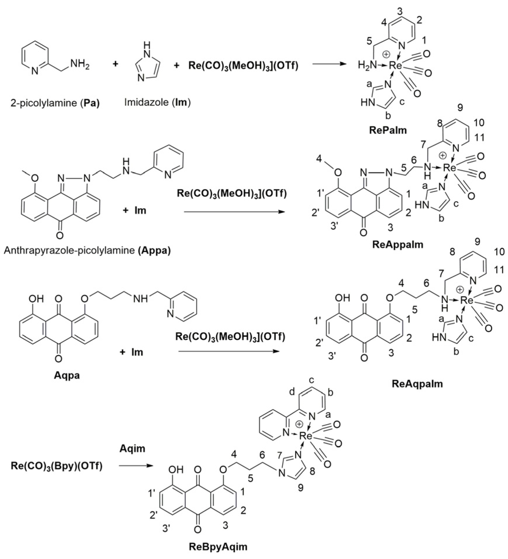 Inorganics 13 00368 sch002