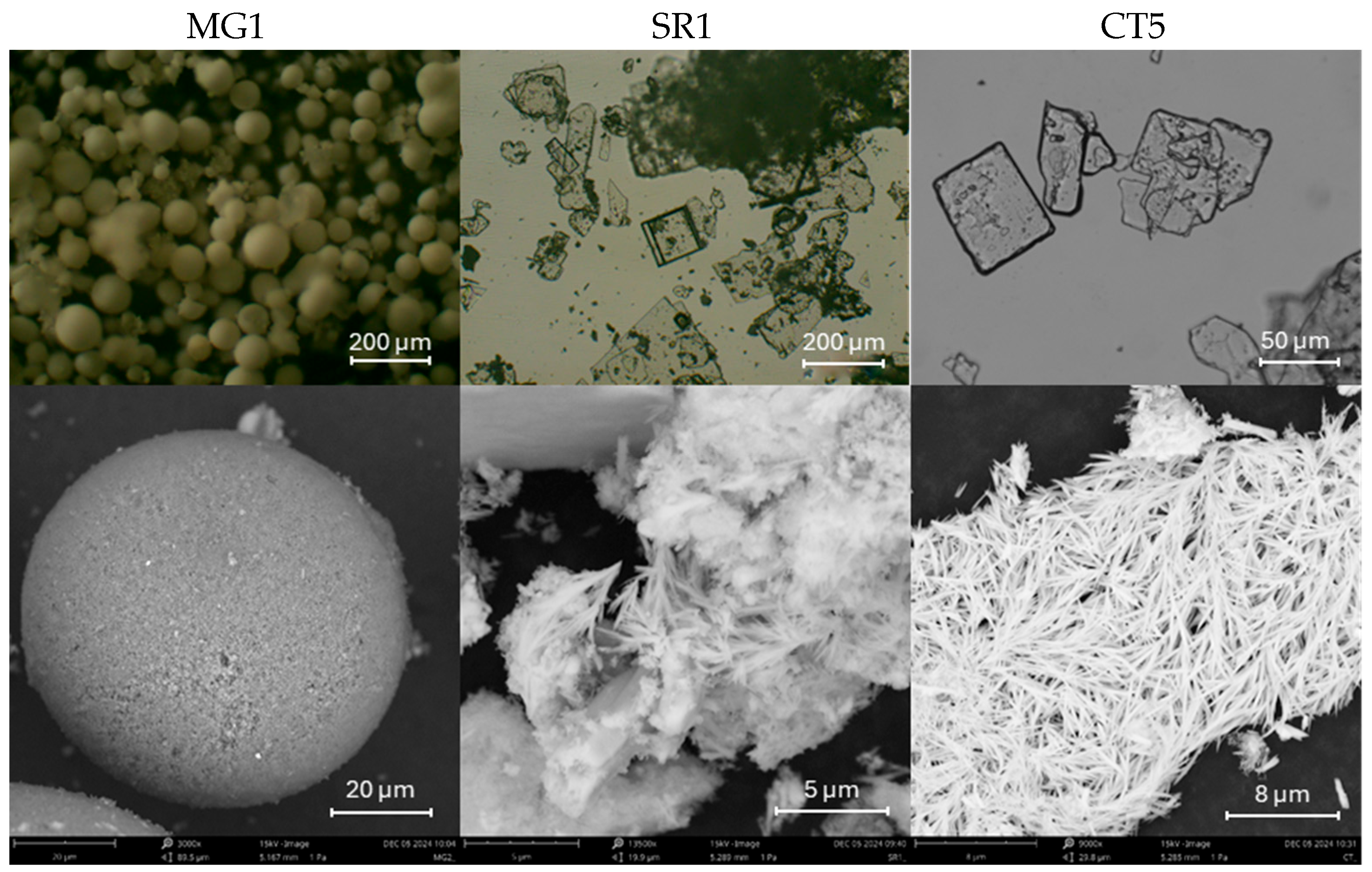 Inorganics 13 00373 g003