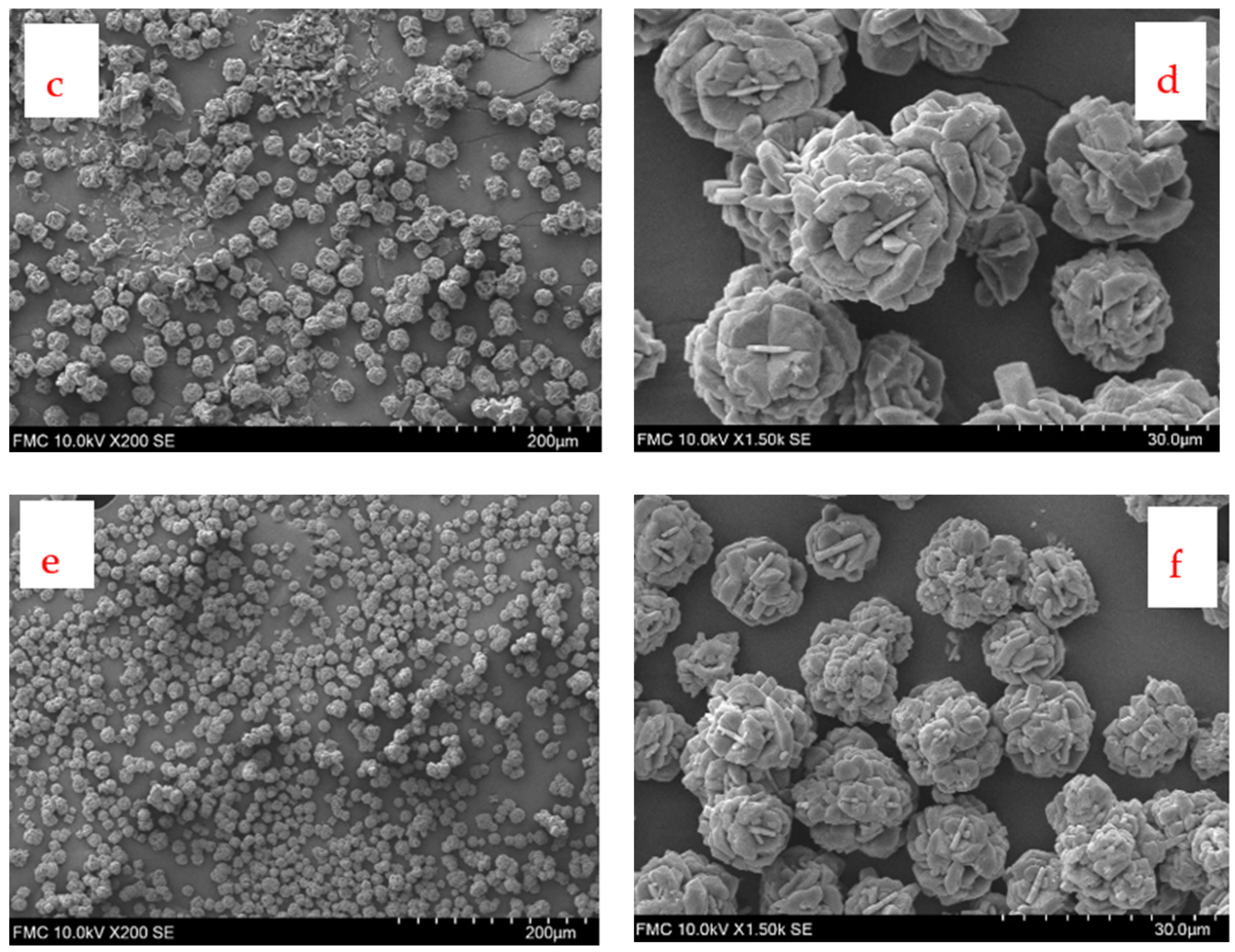 Inorganics 13 00377 g014b