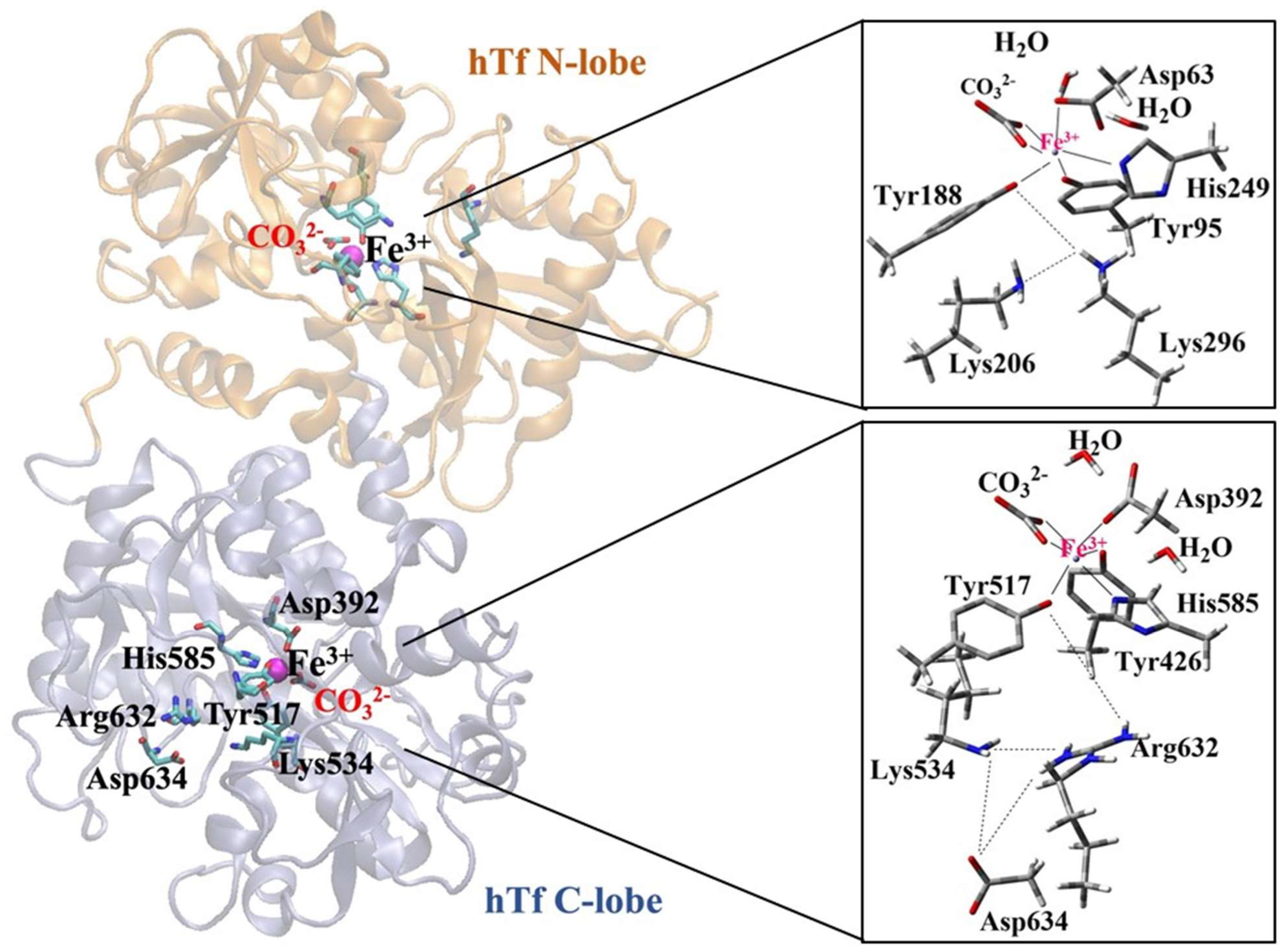 Inorganics 13 00384 g001