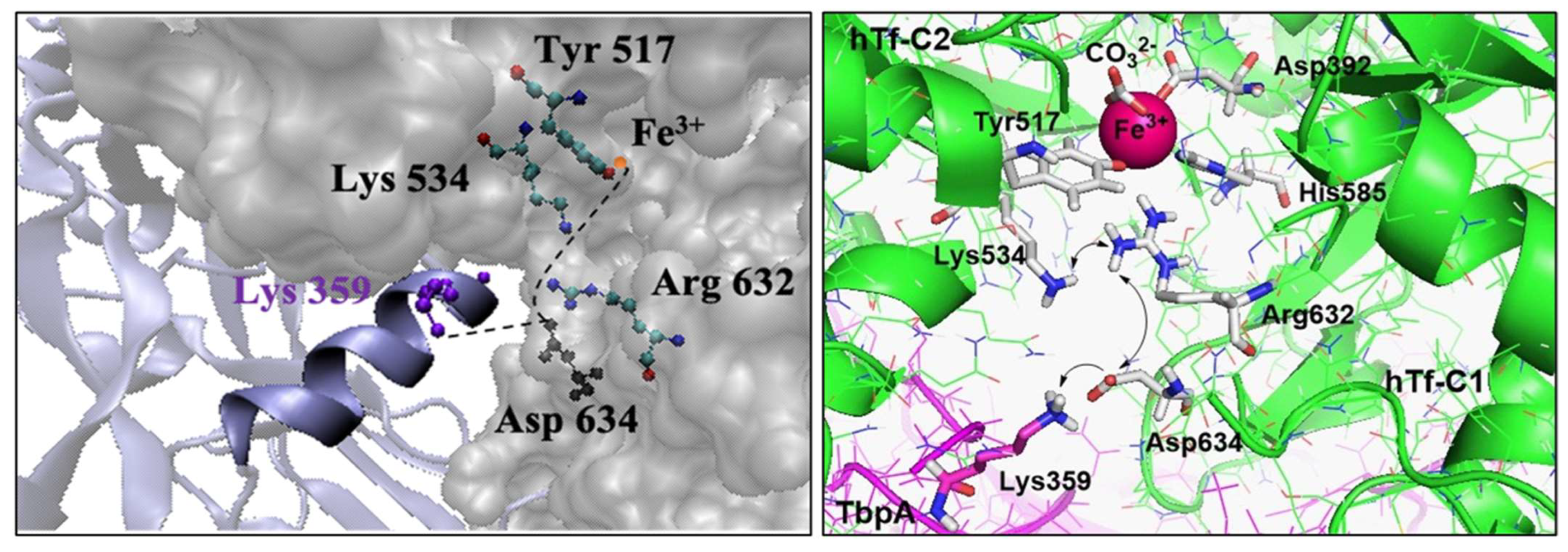 Inorganics 13 00384 g002
