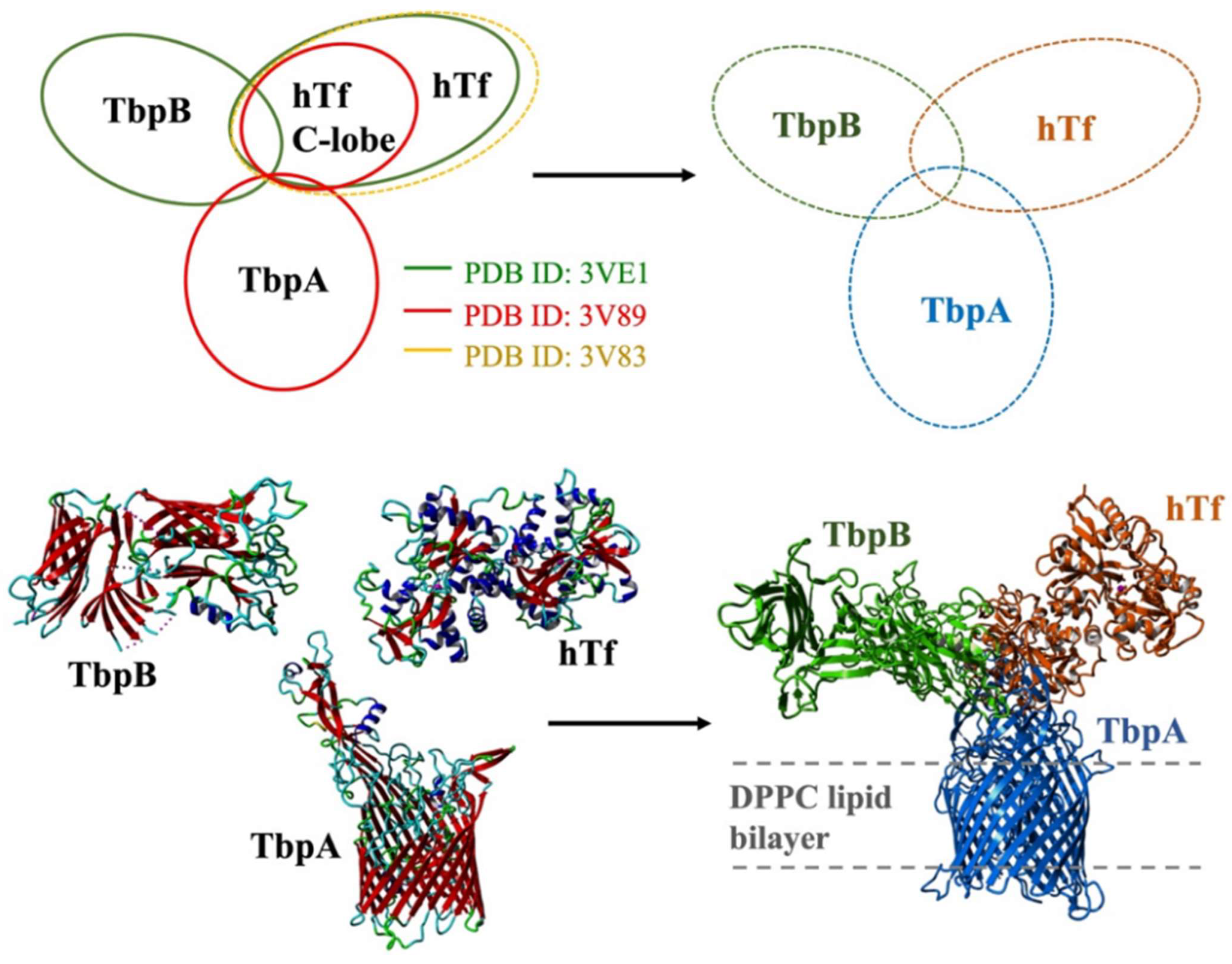 Inorganics 13 00384 g003