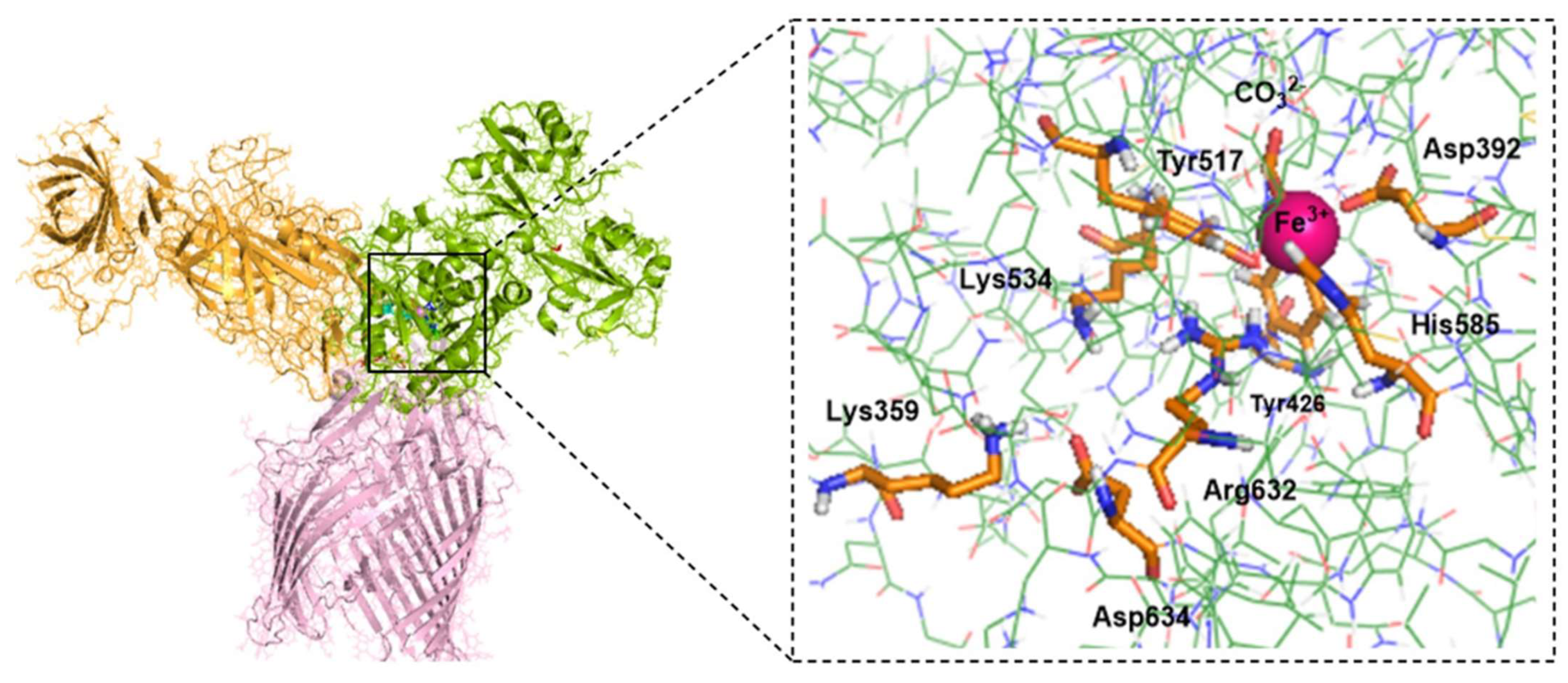 Inorganics 13 00384 g004