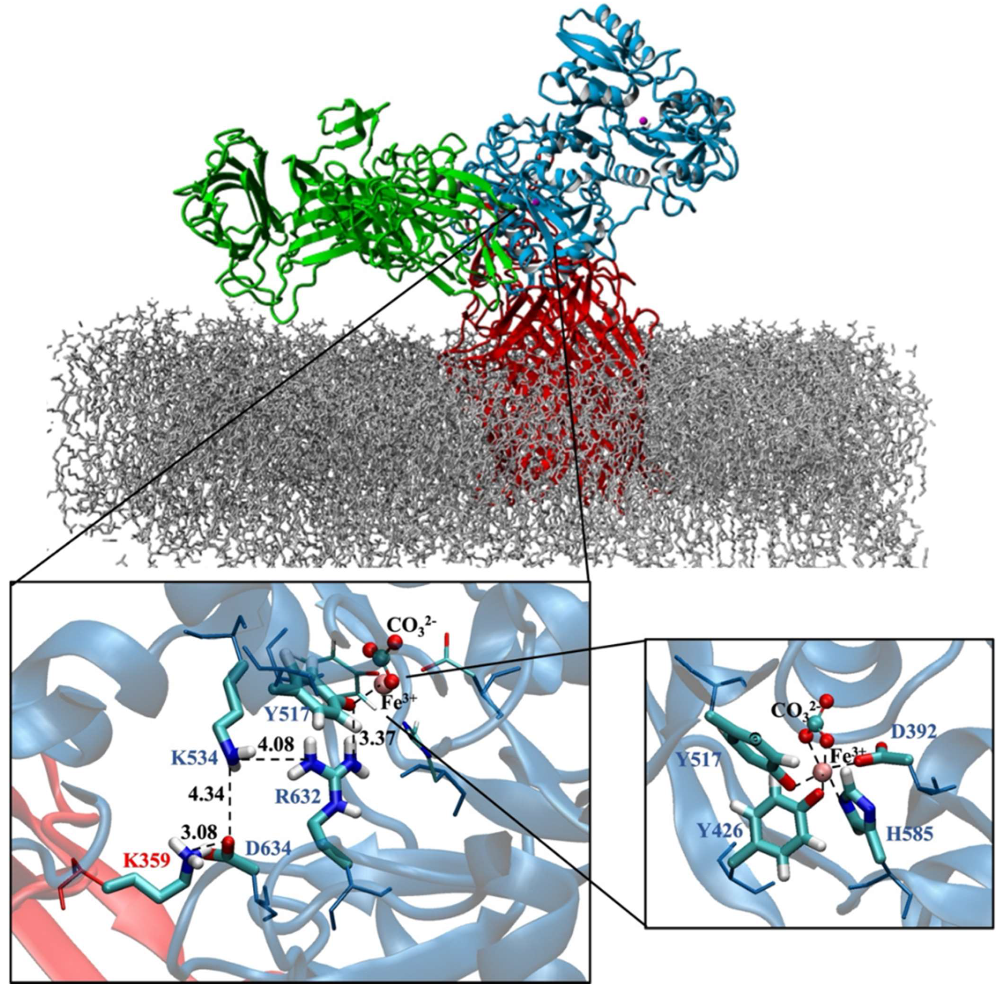 Inorganics 13 00384 g008