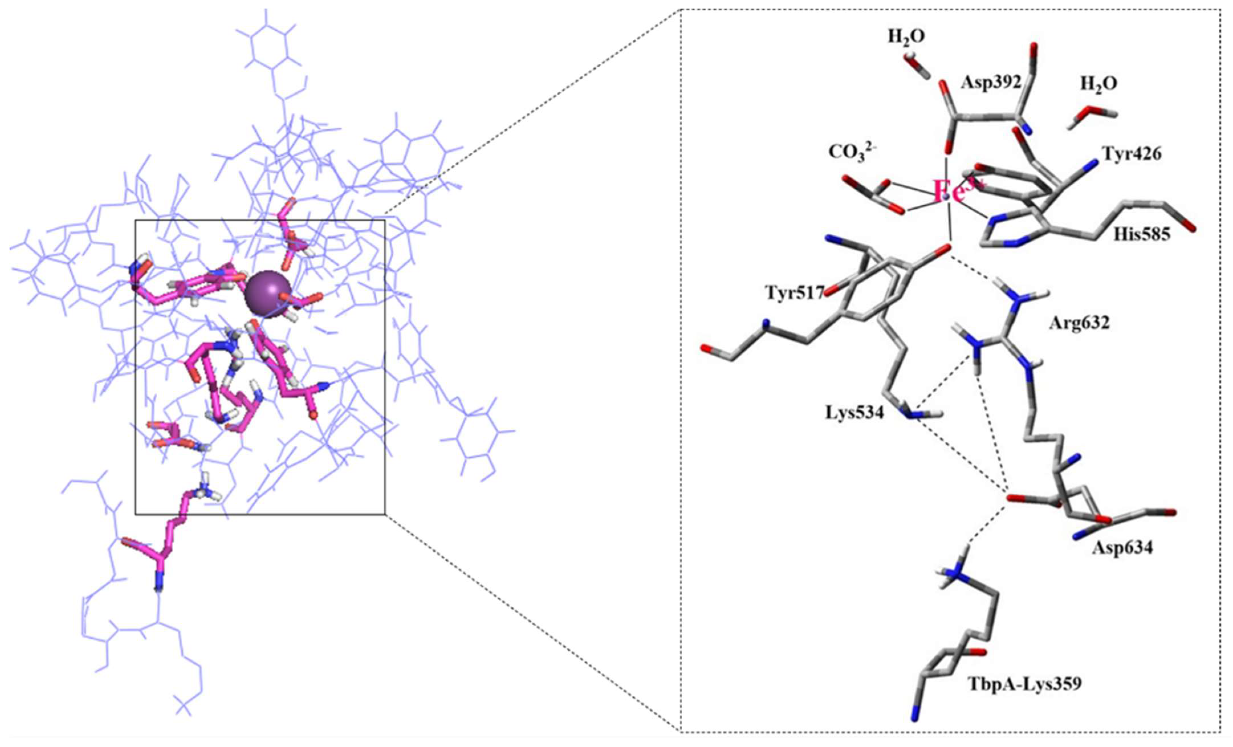 Inorganics 13 00384 g009