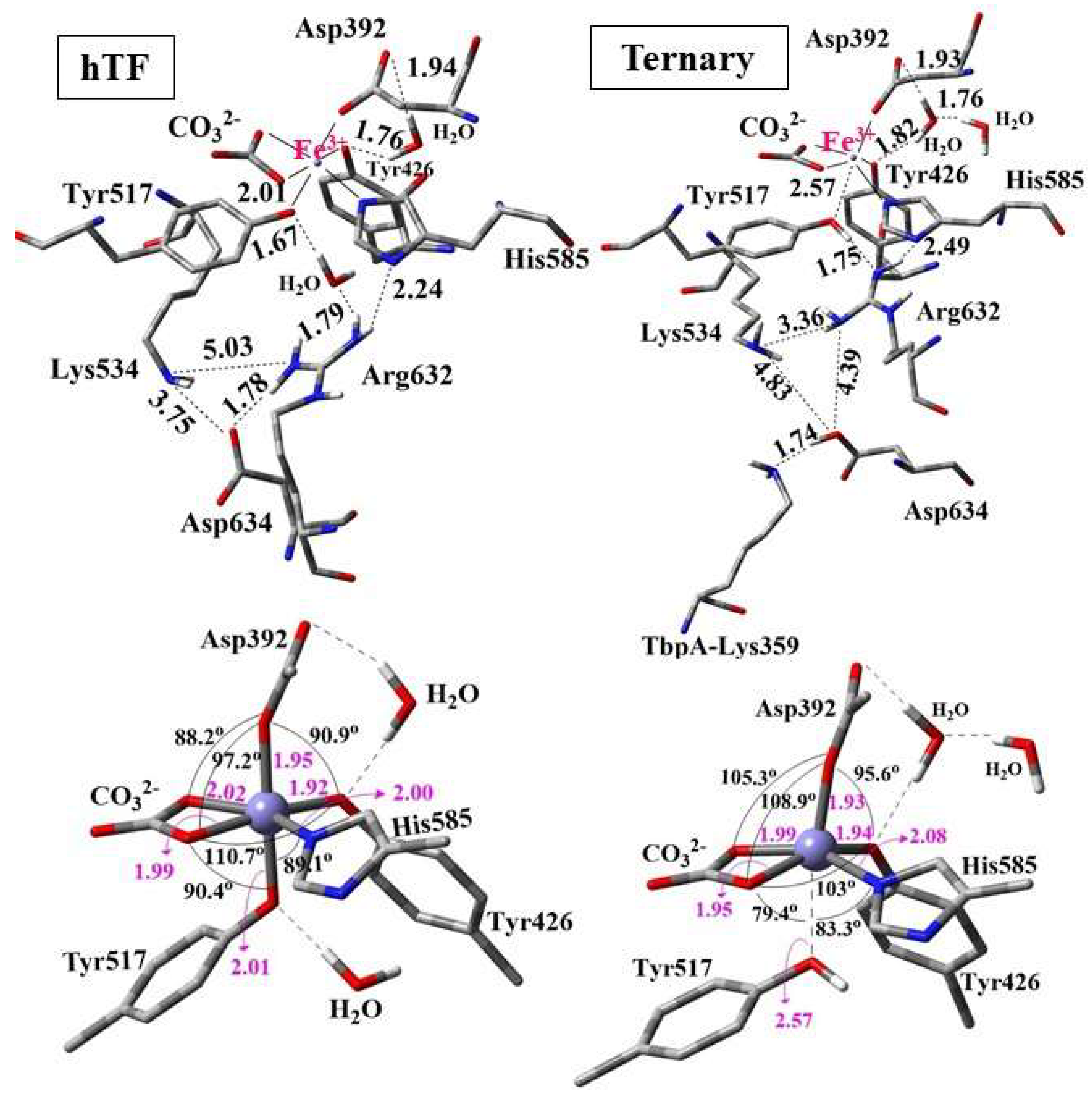Inorganics 13 00384 g010