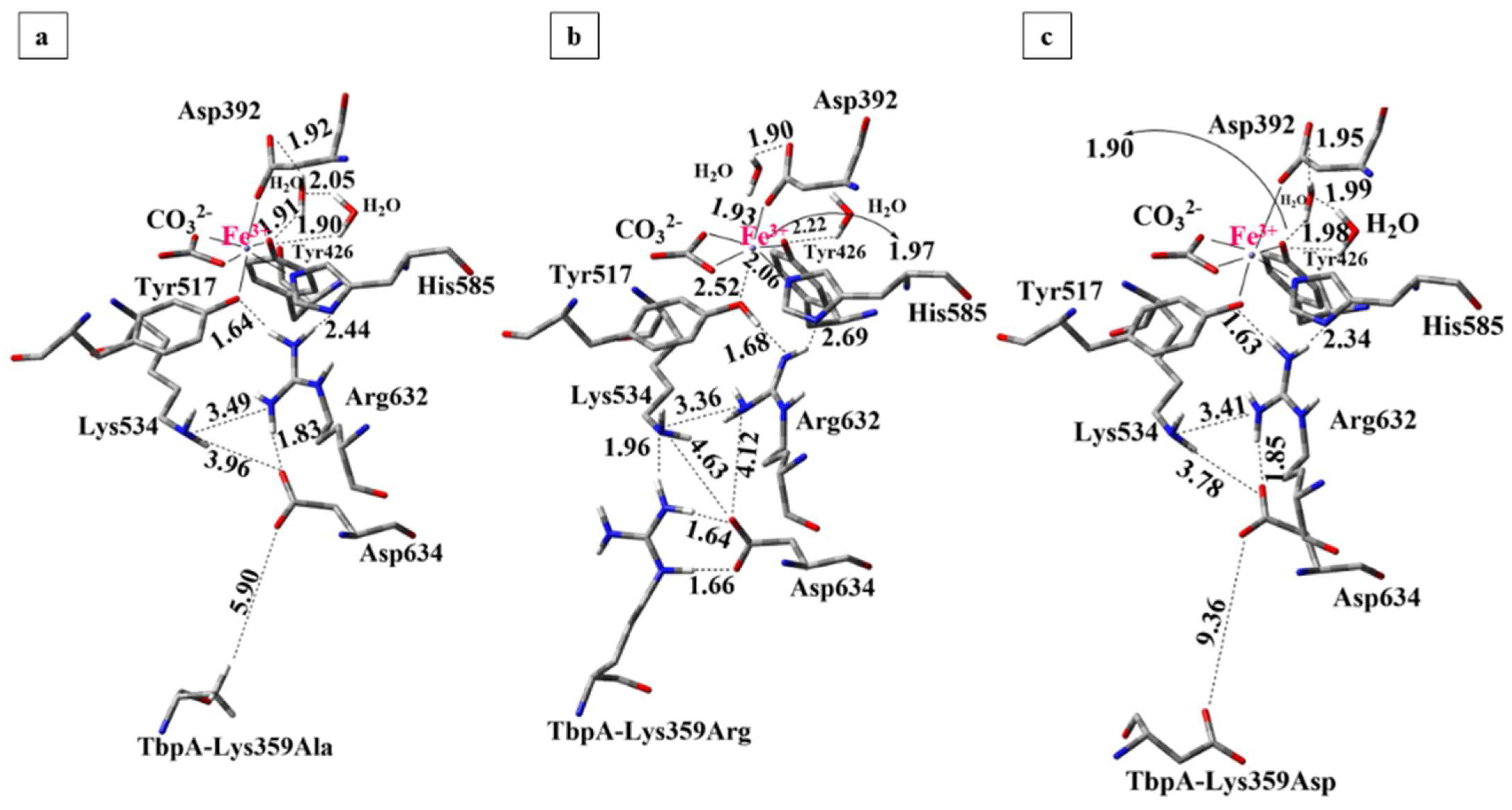 Inorganics 13 00384 g011