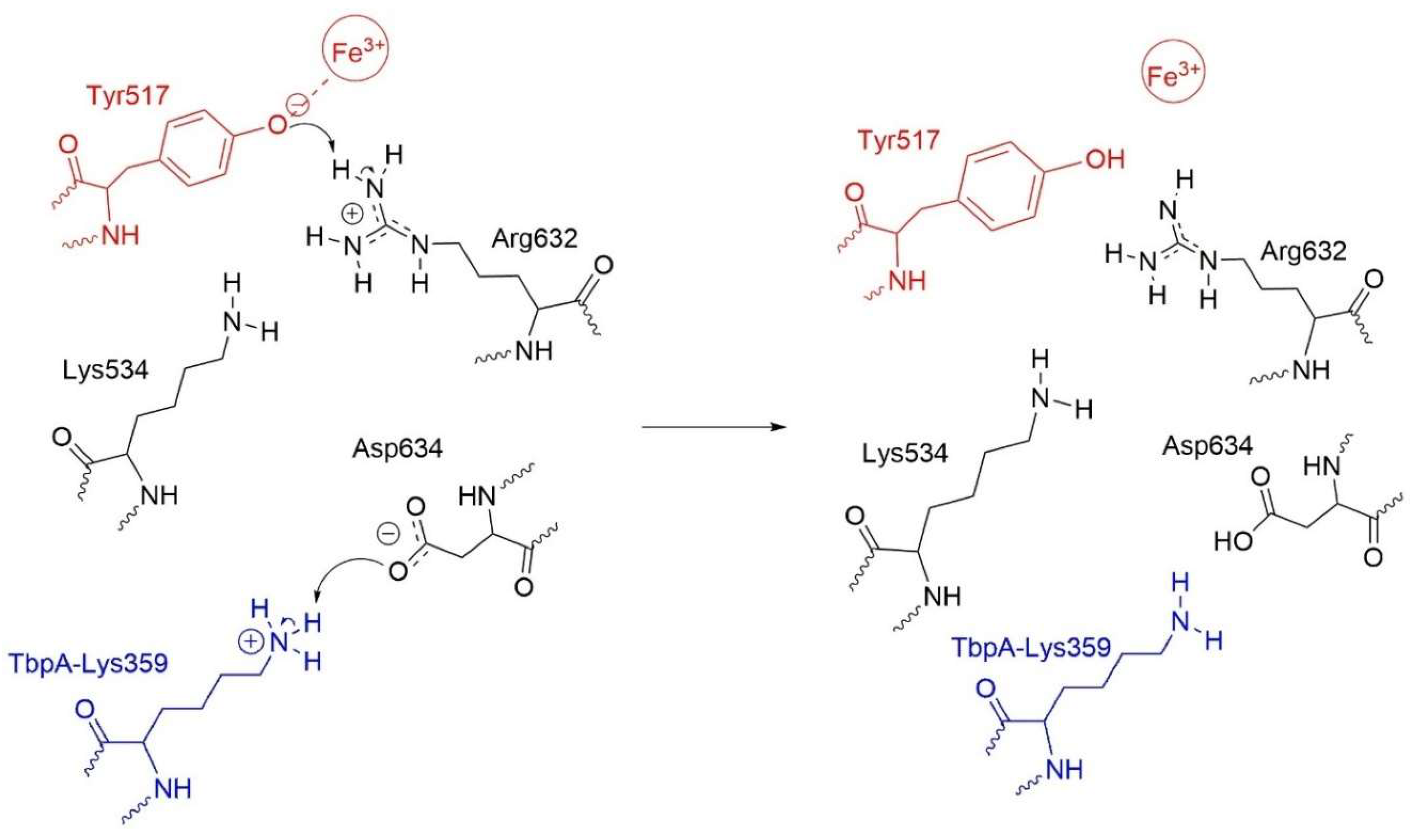 Inorganics 13 00384 sch001