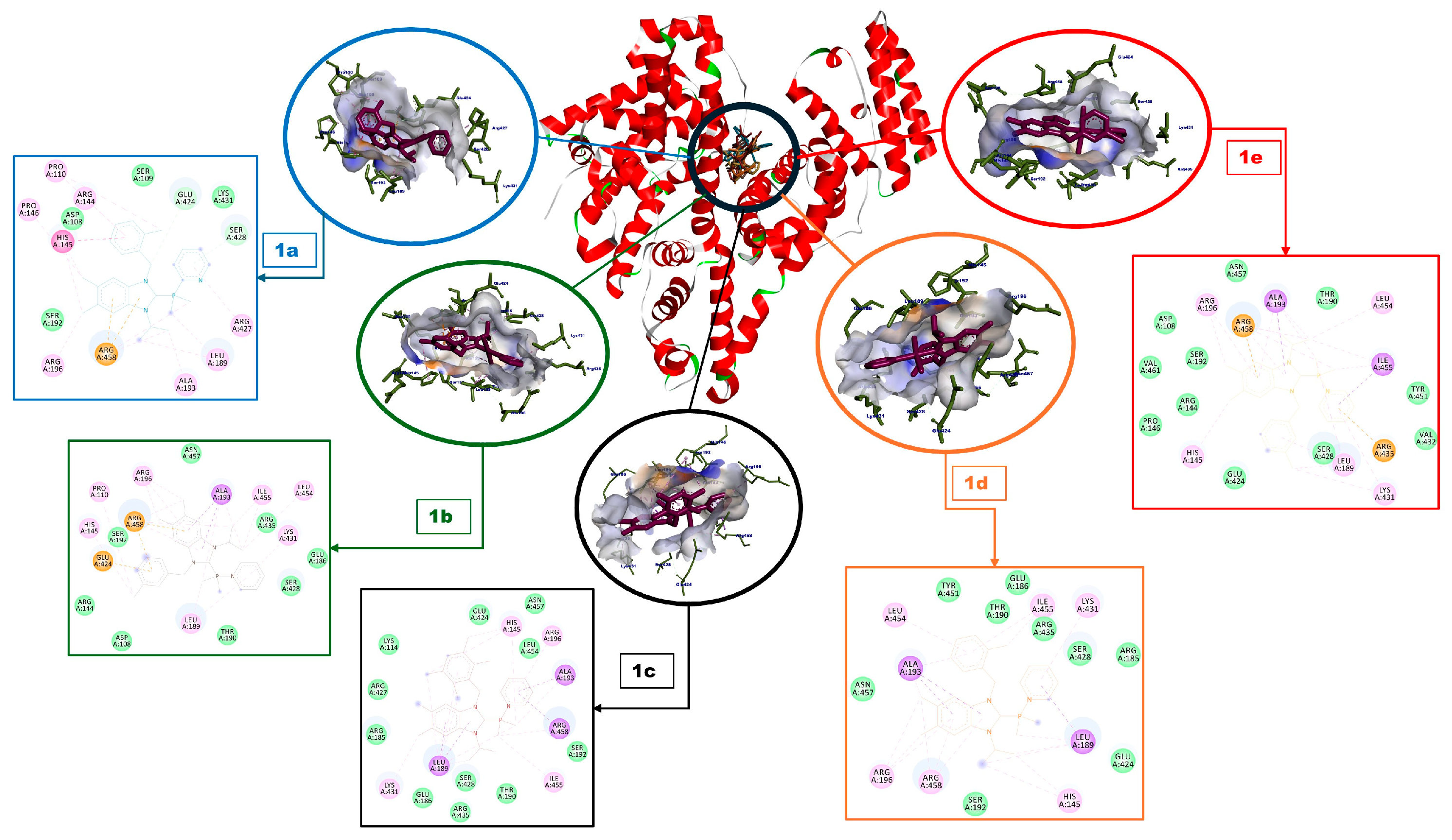Inorganics 13 00391 g006