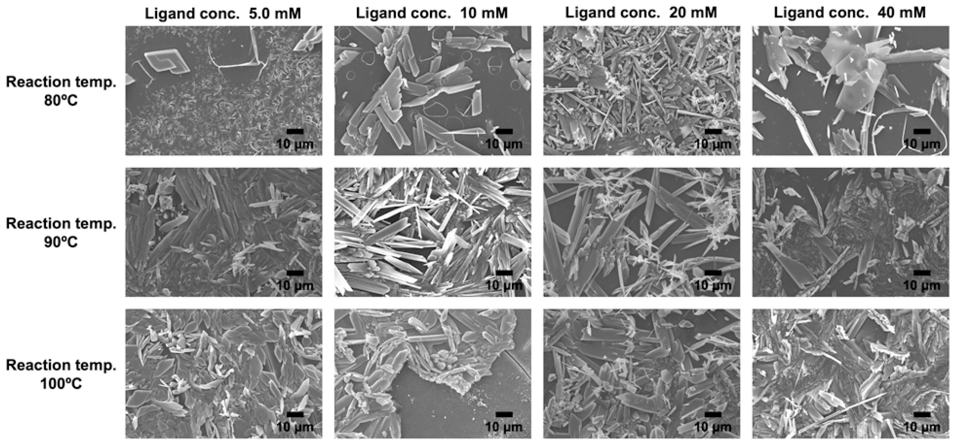 Inorganics 13 00396 g003
