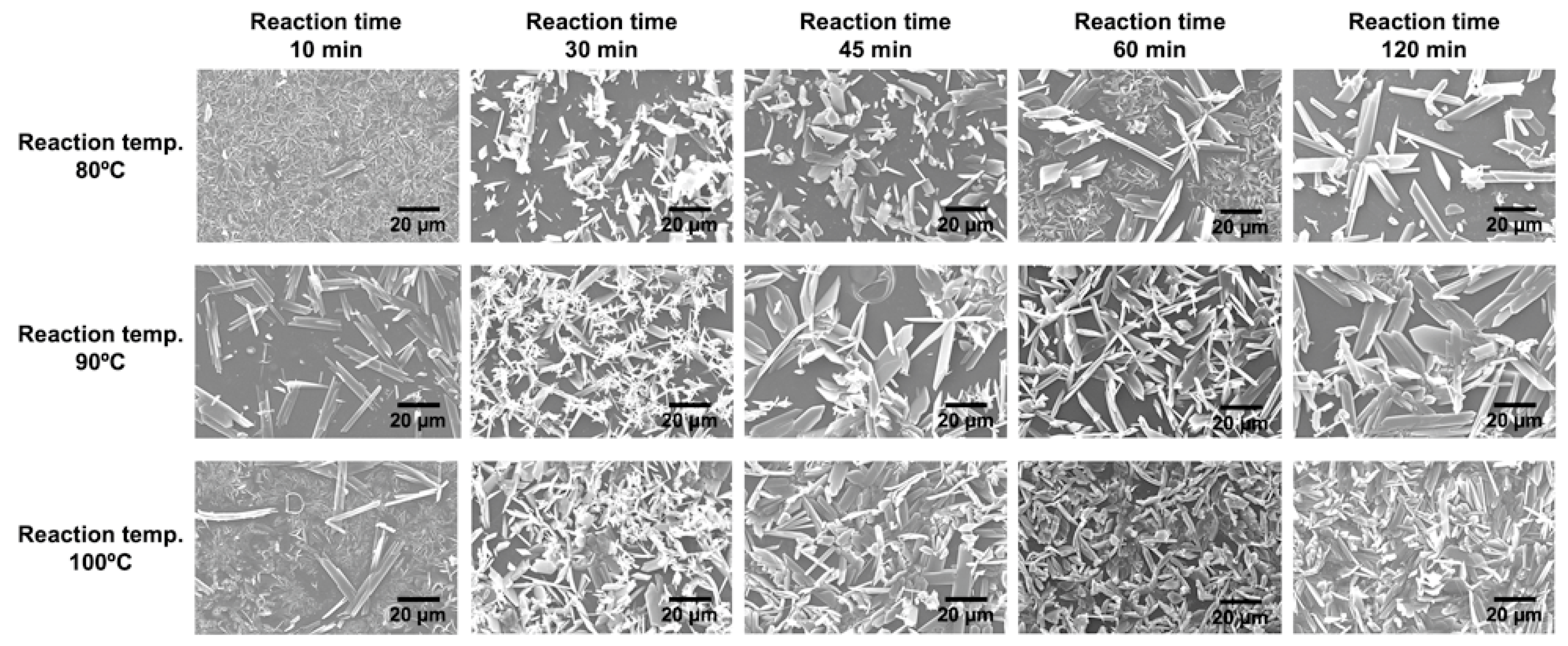 Inorganics 13 00396 g004