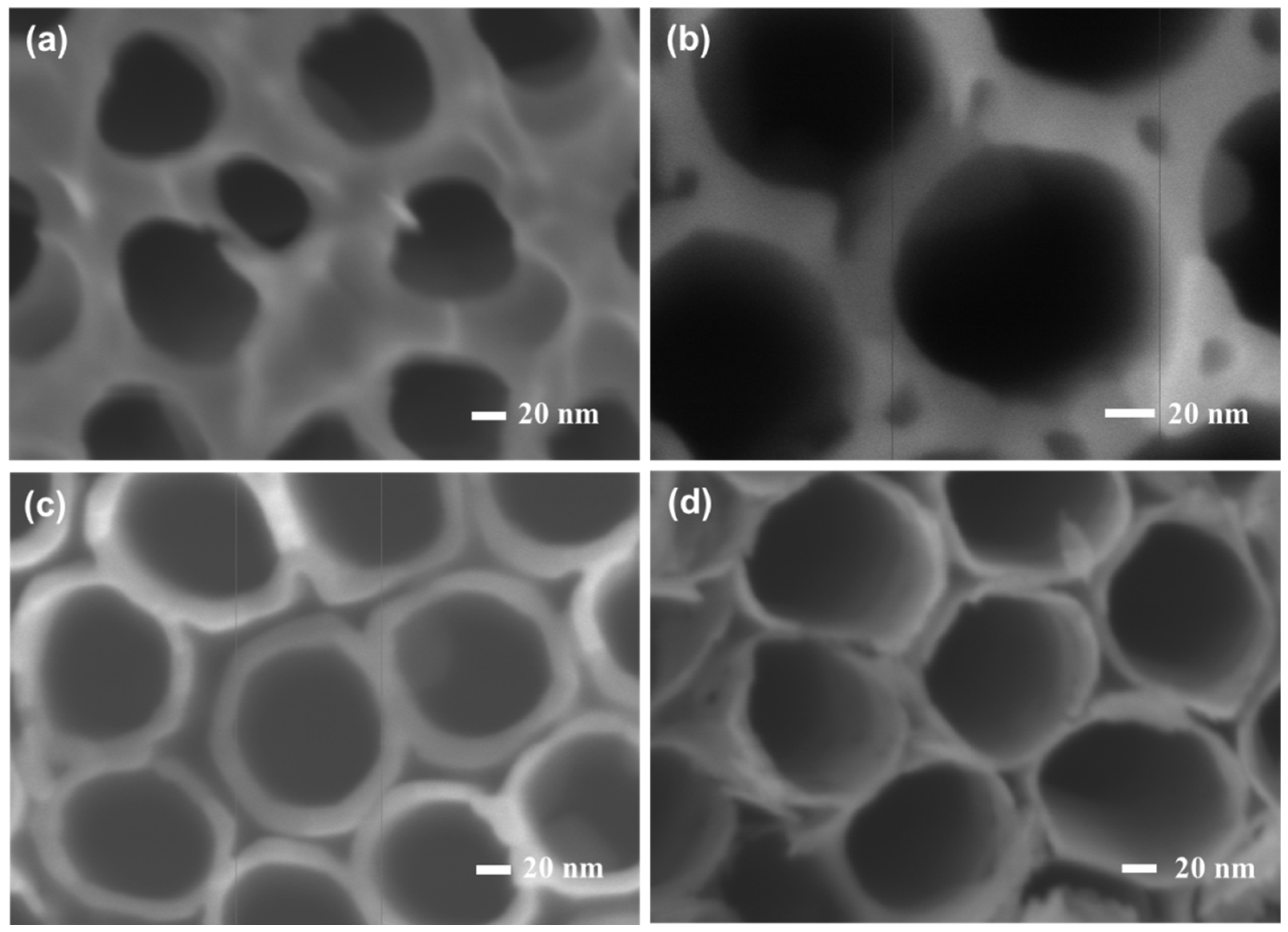 Inorganics 13 00404 g001