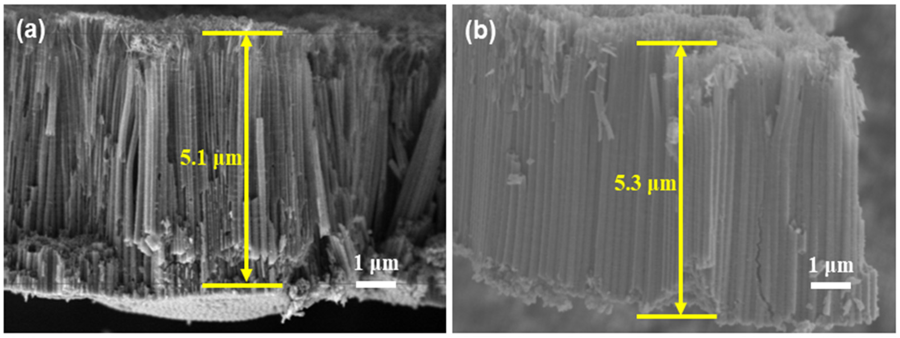 Inorganics 13 00404 g002