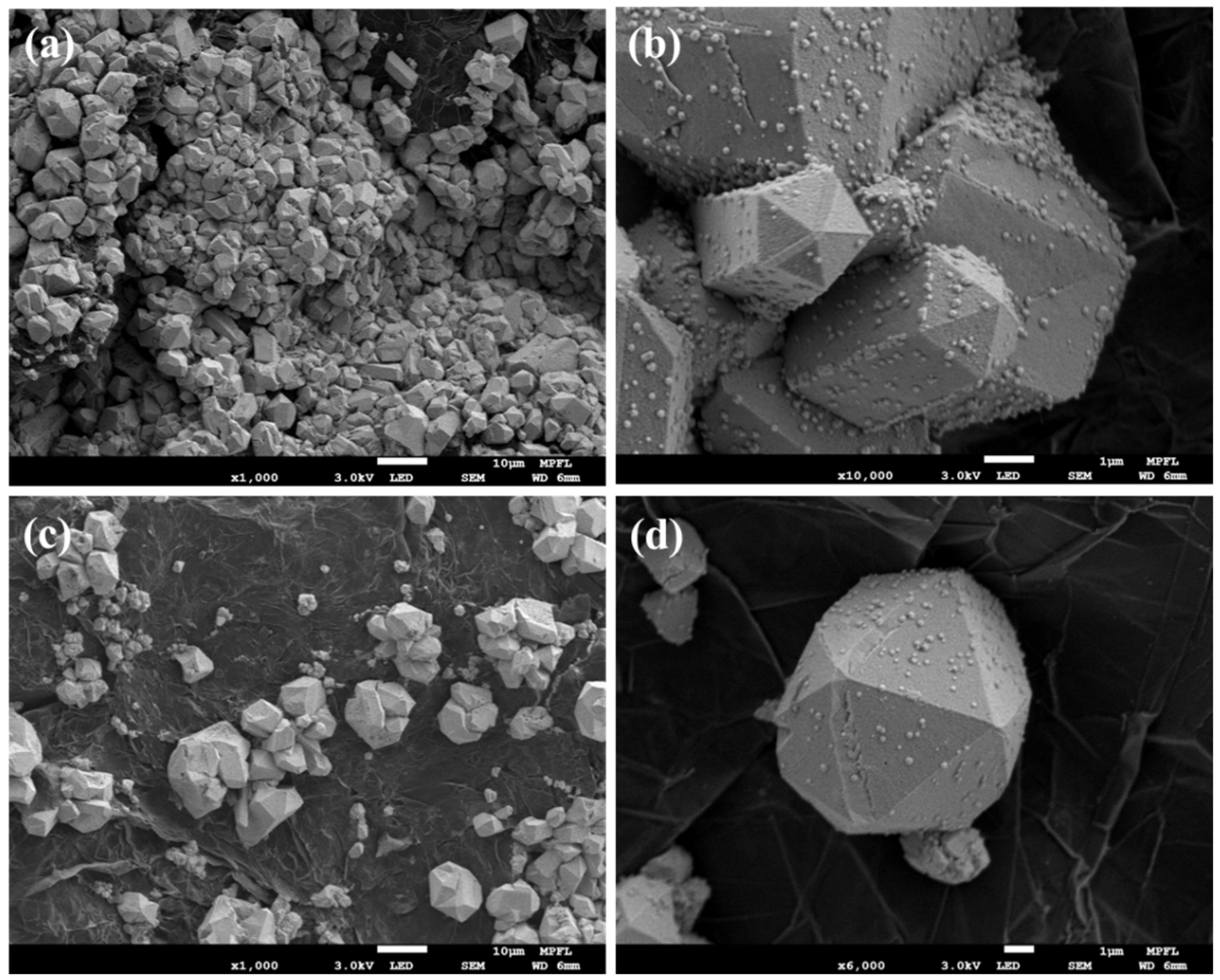 Inorganics 13 00404 g007