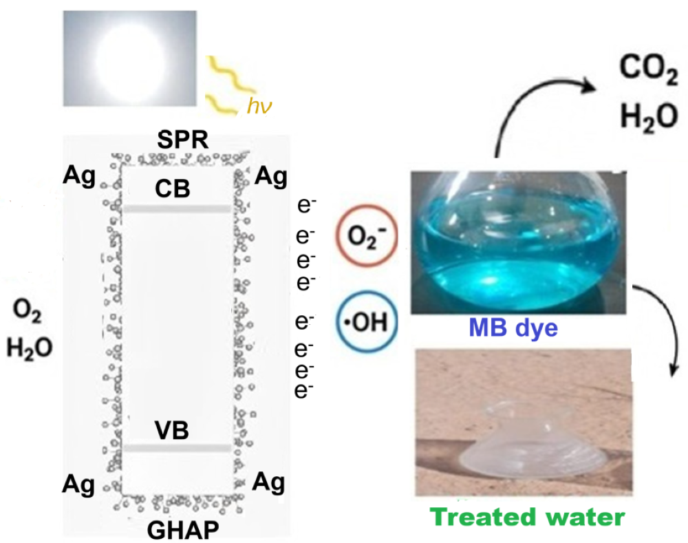 Inorganics 14 00002 g013
