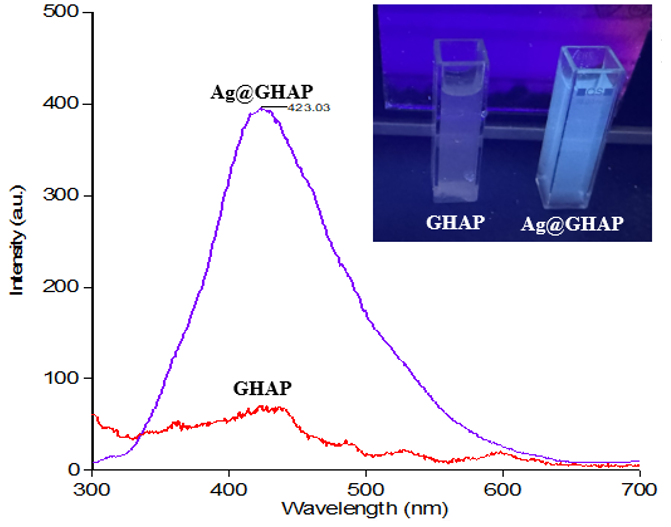 Inorganics 14 00002 g014