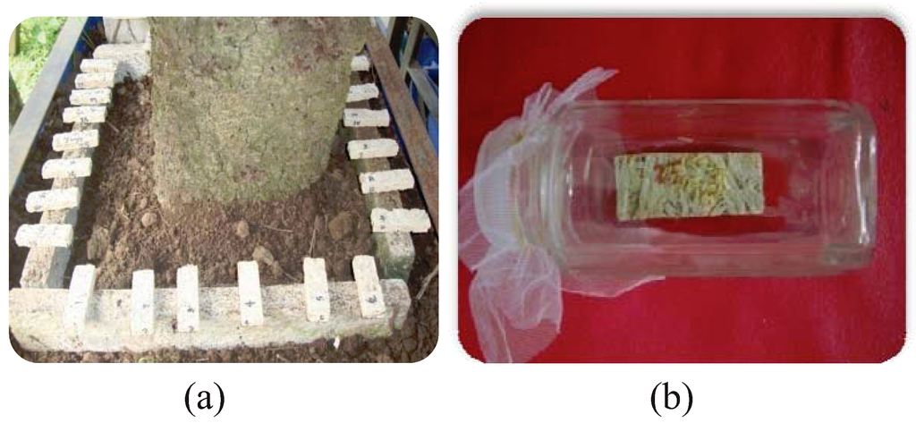 Insects 03 00018 g001 1024