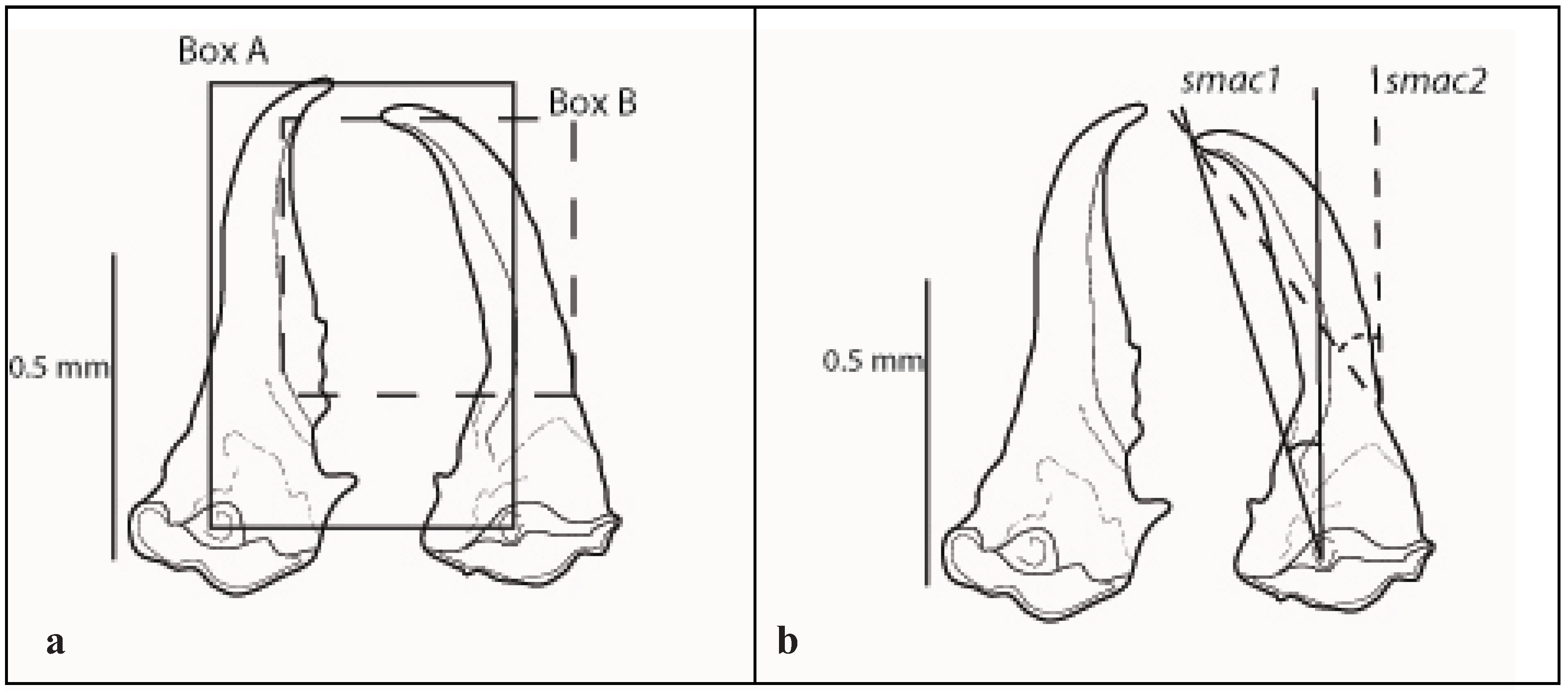 Insects 03 00062 g002