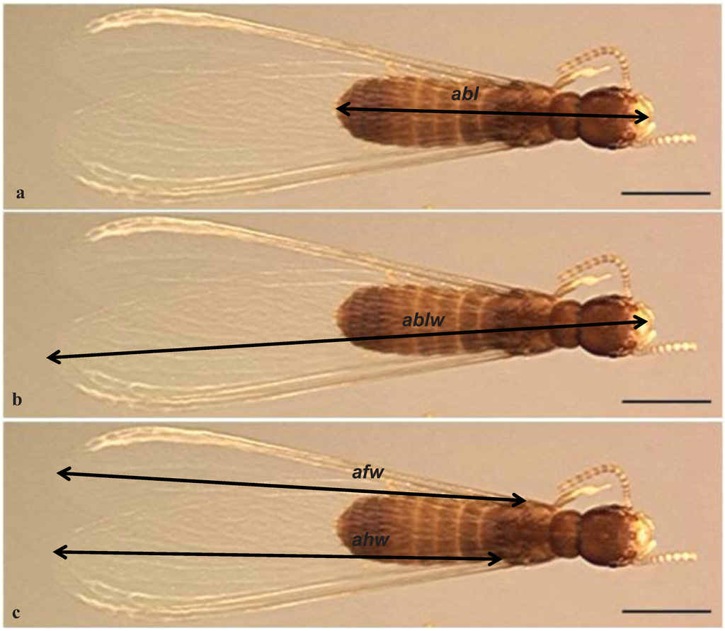 Insects 03 00062 g003 1024