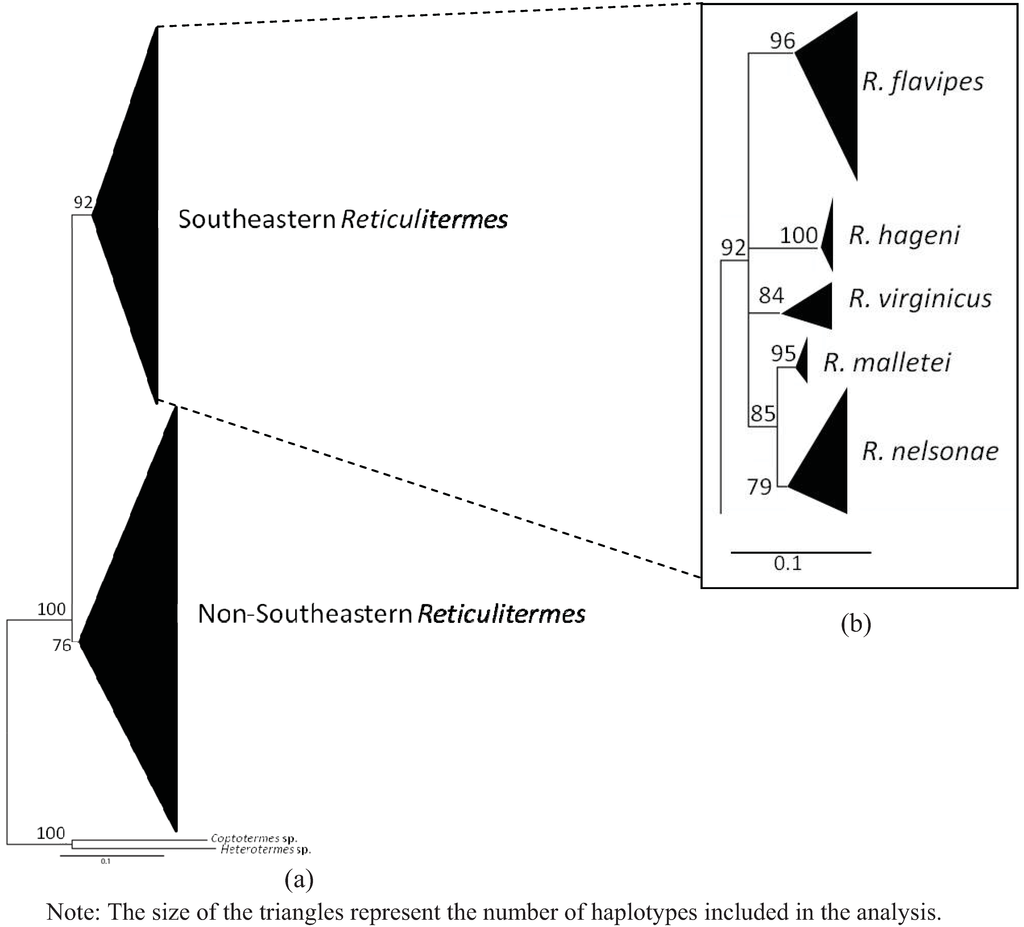 Insects 03 00062 g004 1024