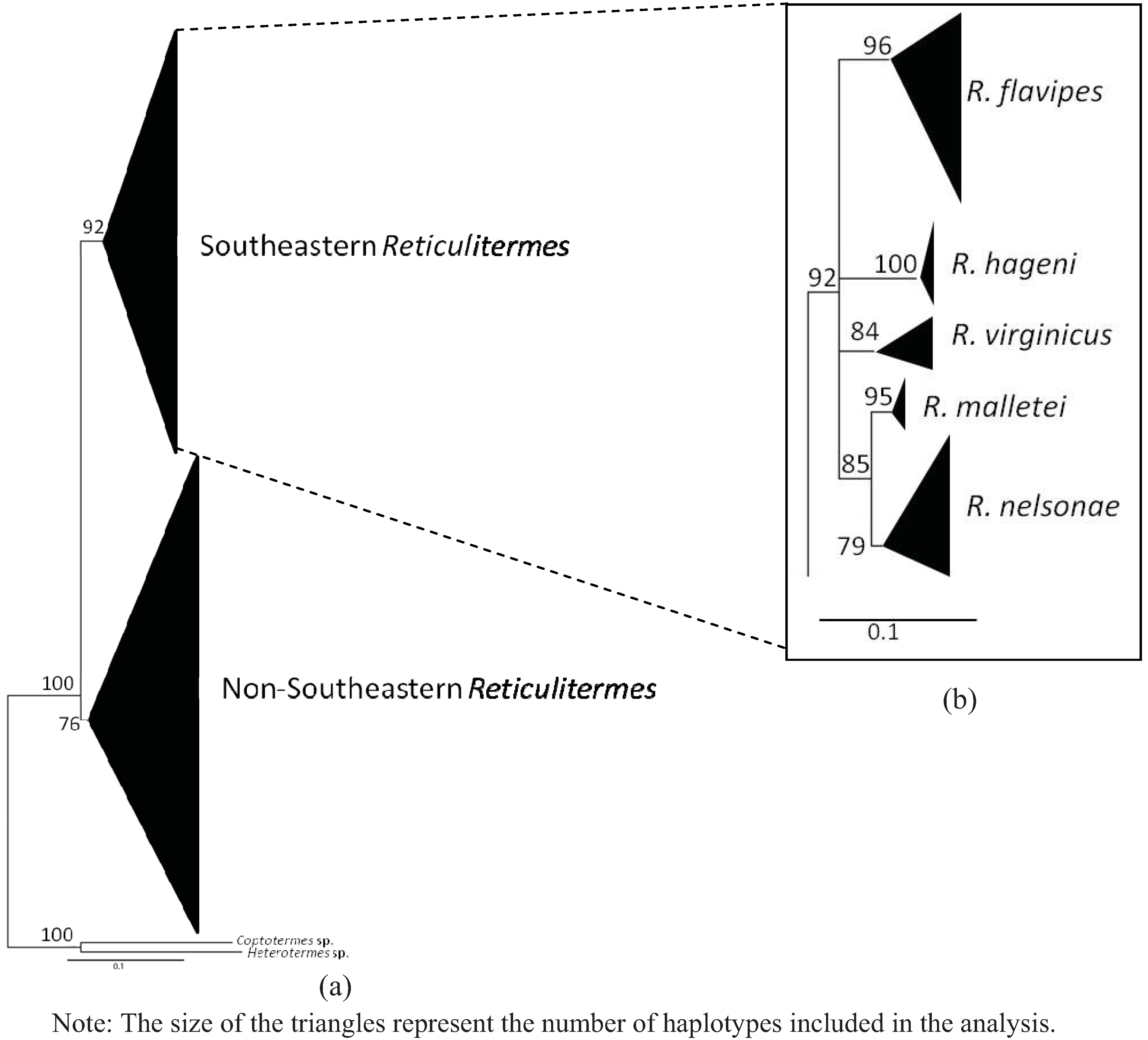 Insects 03 00062 g004