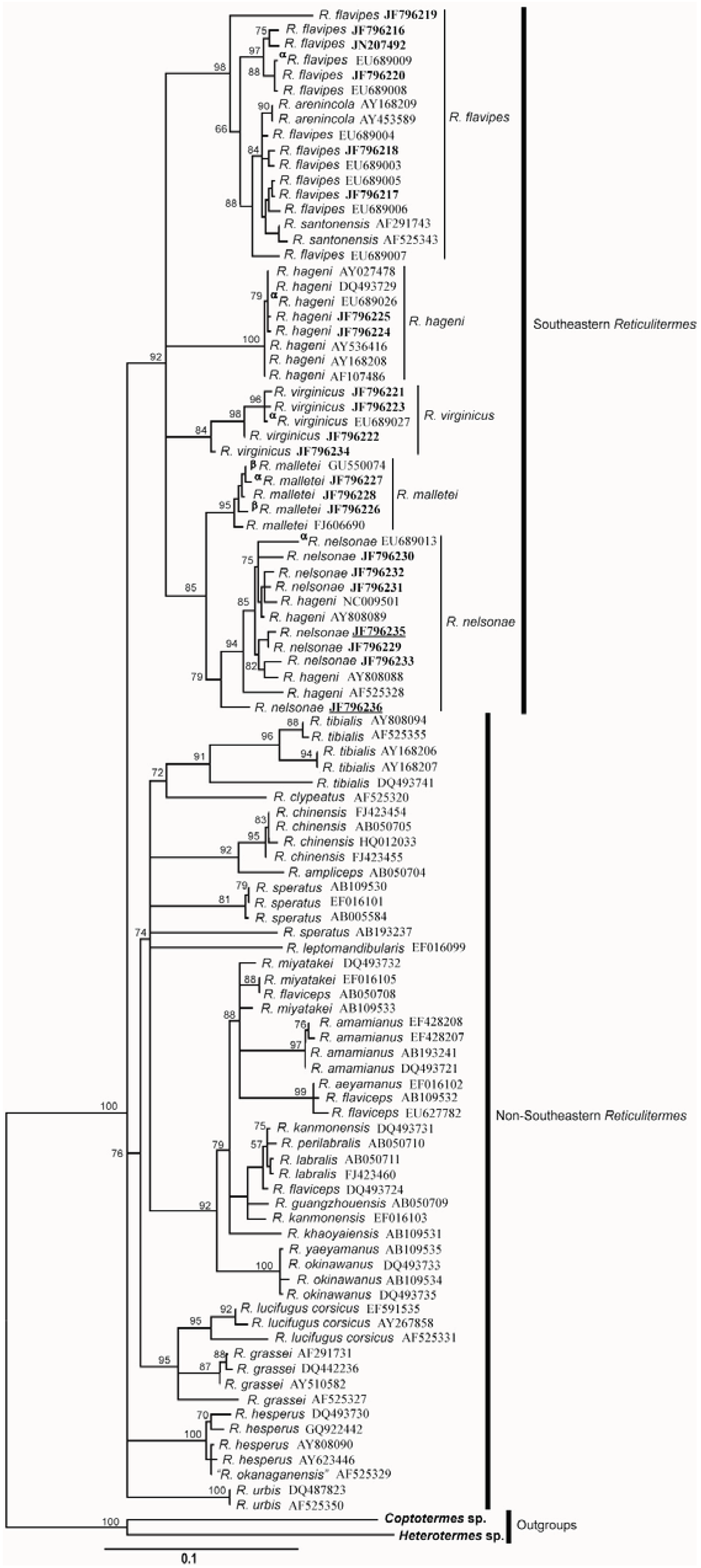 Insects 03 00062 g012