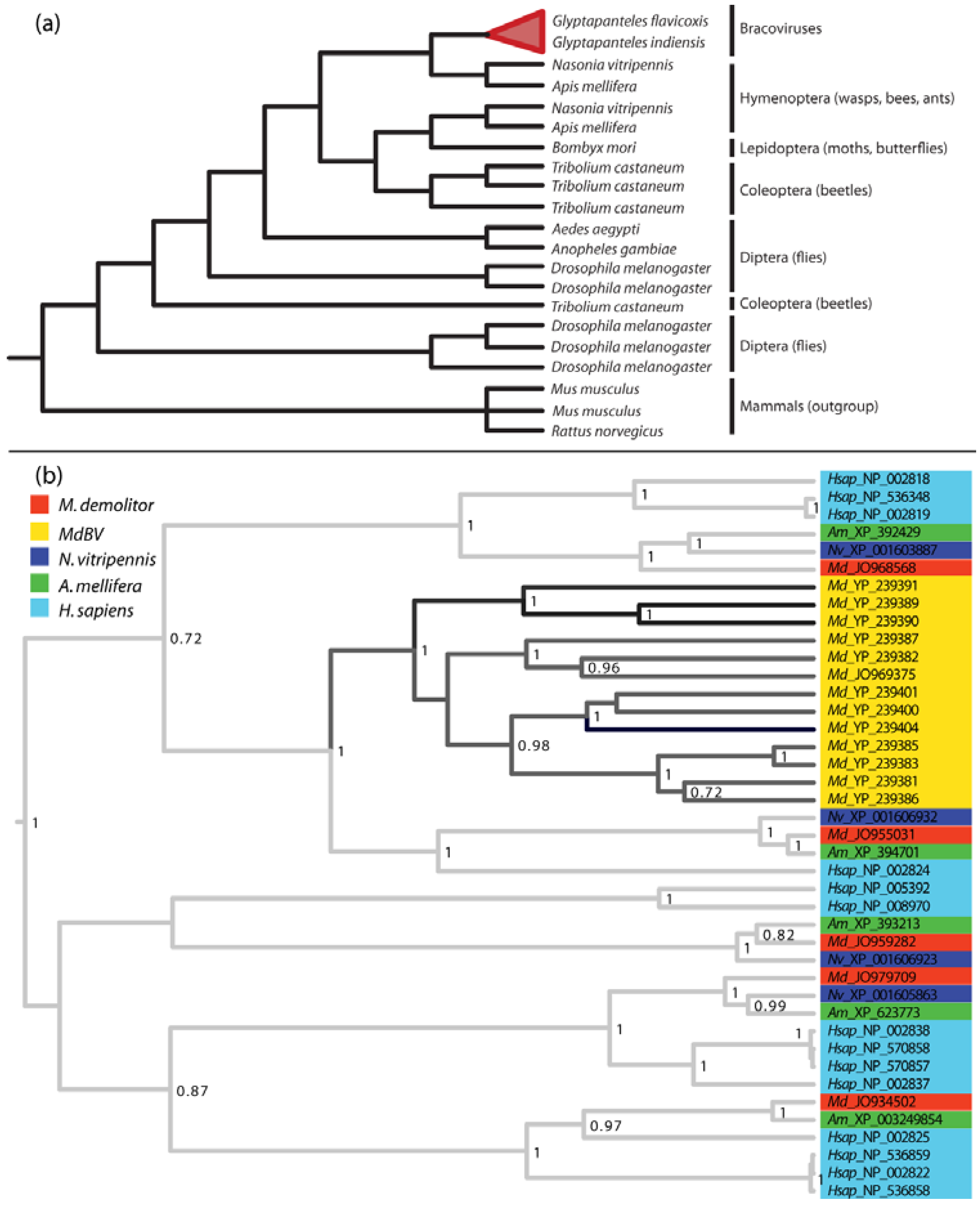 Insects 03 00091 g005