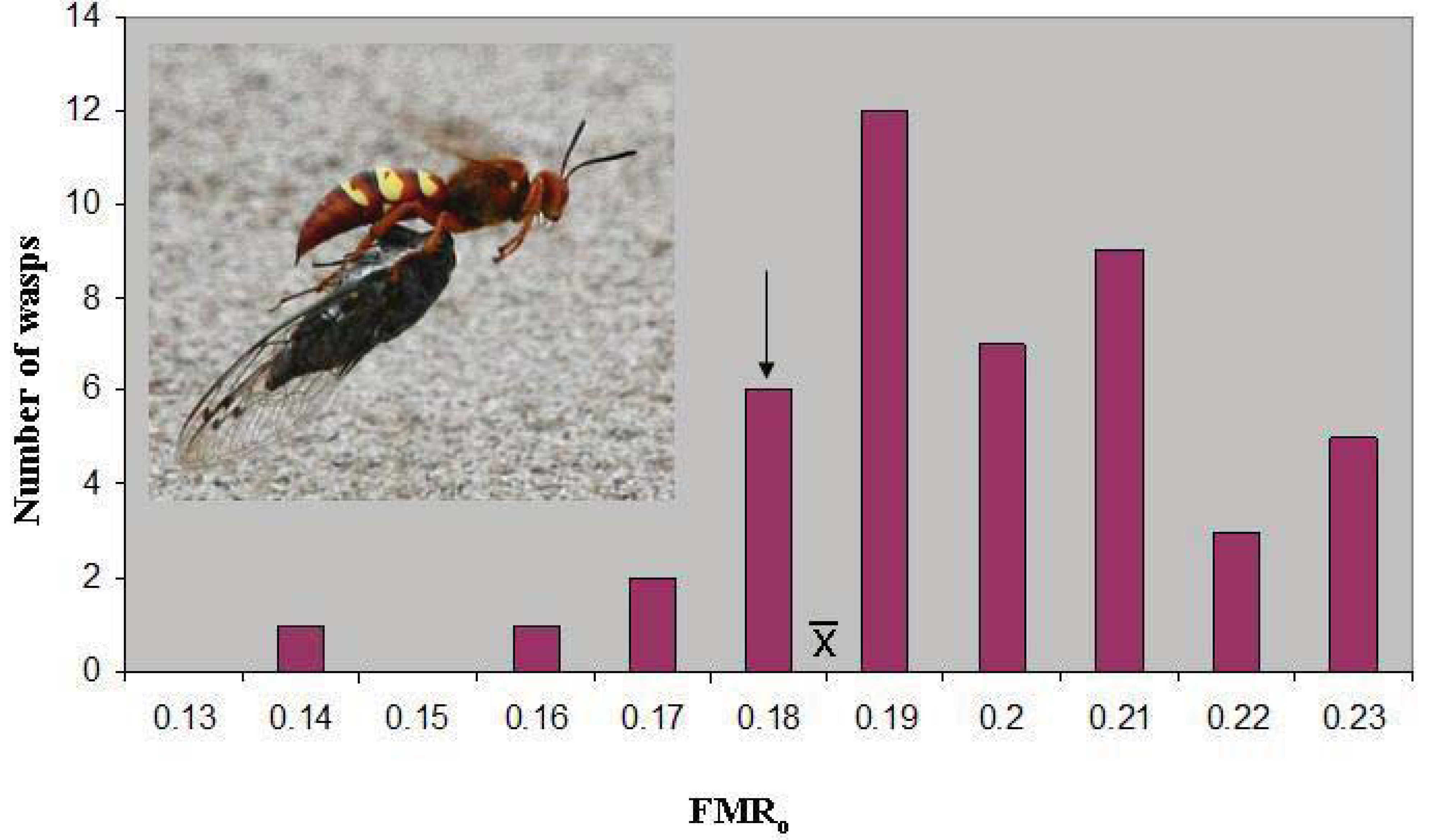 Insects 03 00133 g001