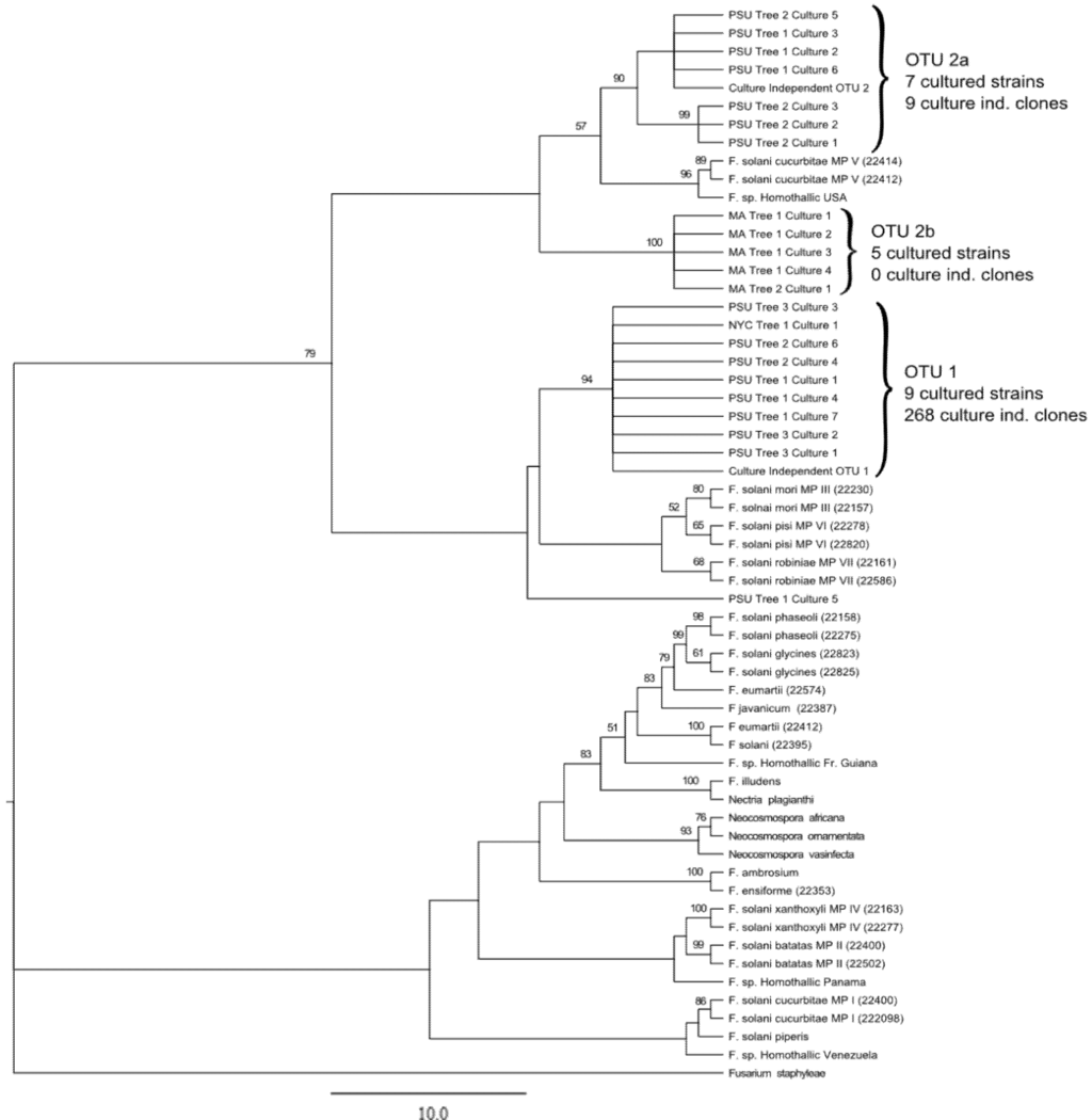 Insects 03 00141 g001 1024