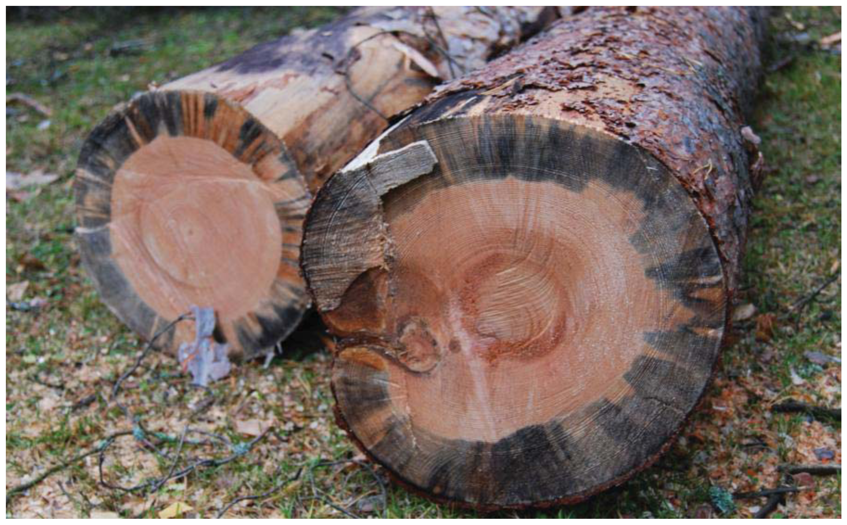 Insects 03 00200 g001