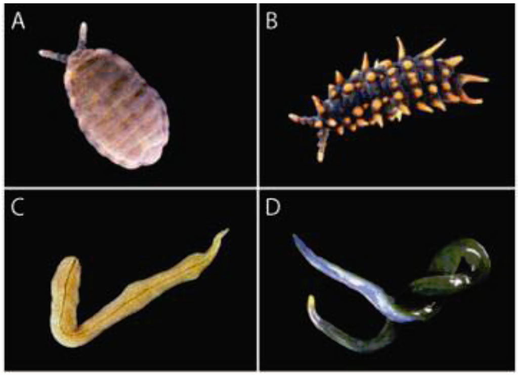 Insects 03 00270 g002 1024