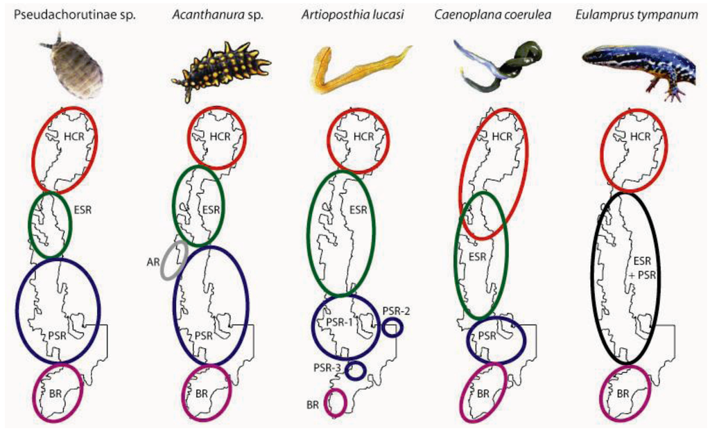 Insects 03 00270 g003 1024